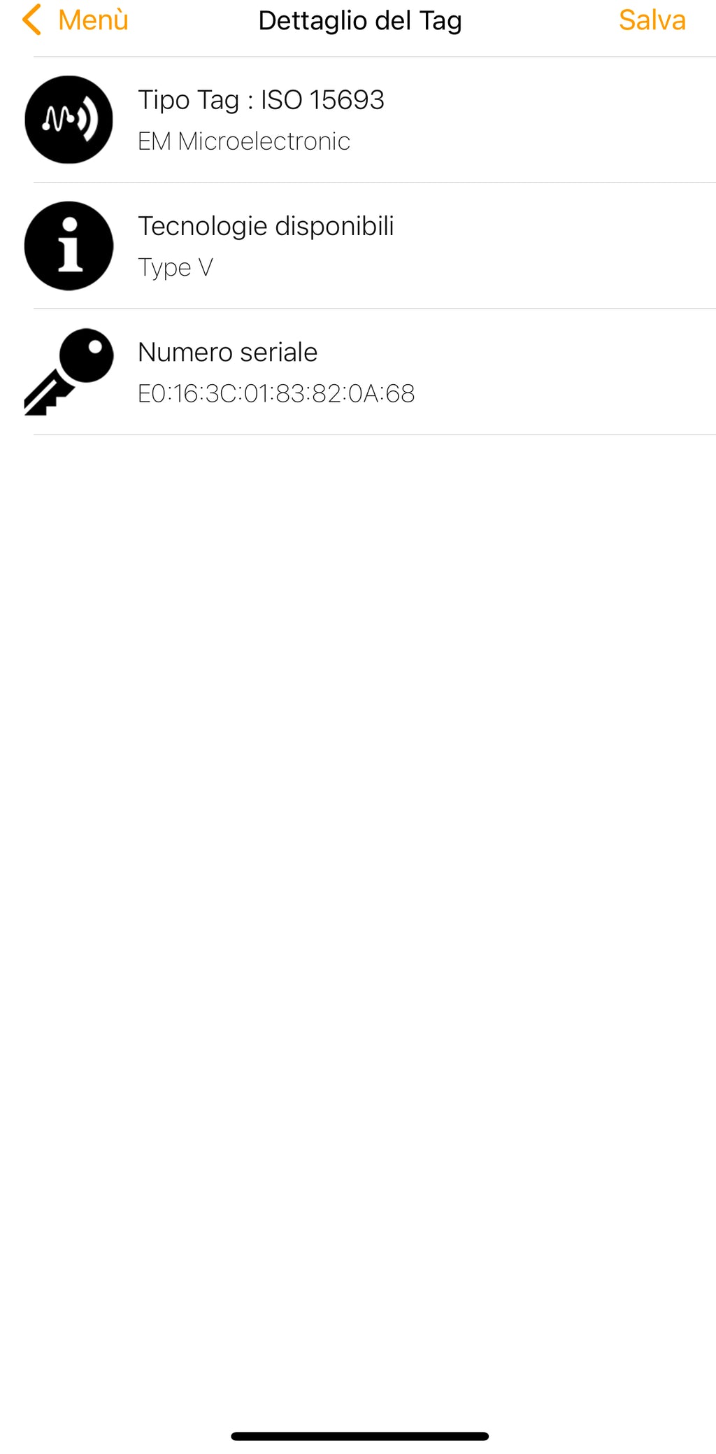 Louis Vuitton Looping