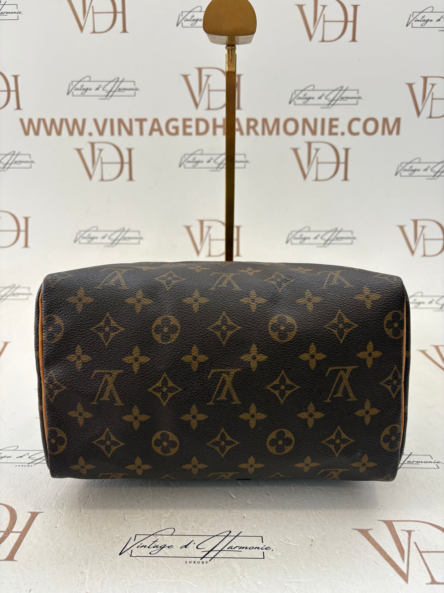 018244 - Louis Vuitton Speedy 25