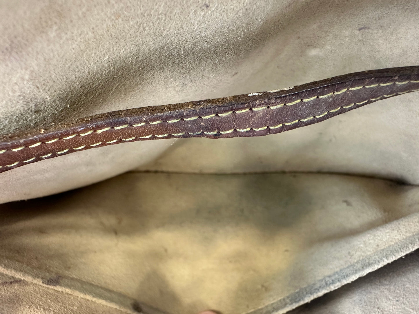 Louis Vuitton Pochette Twin GM