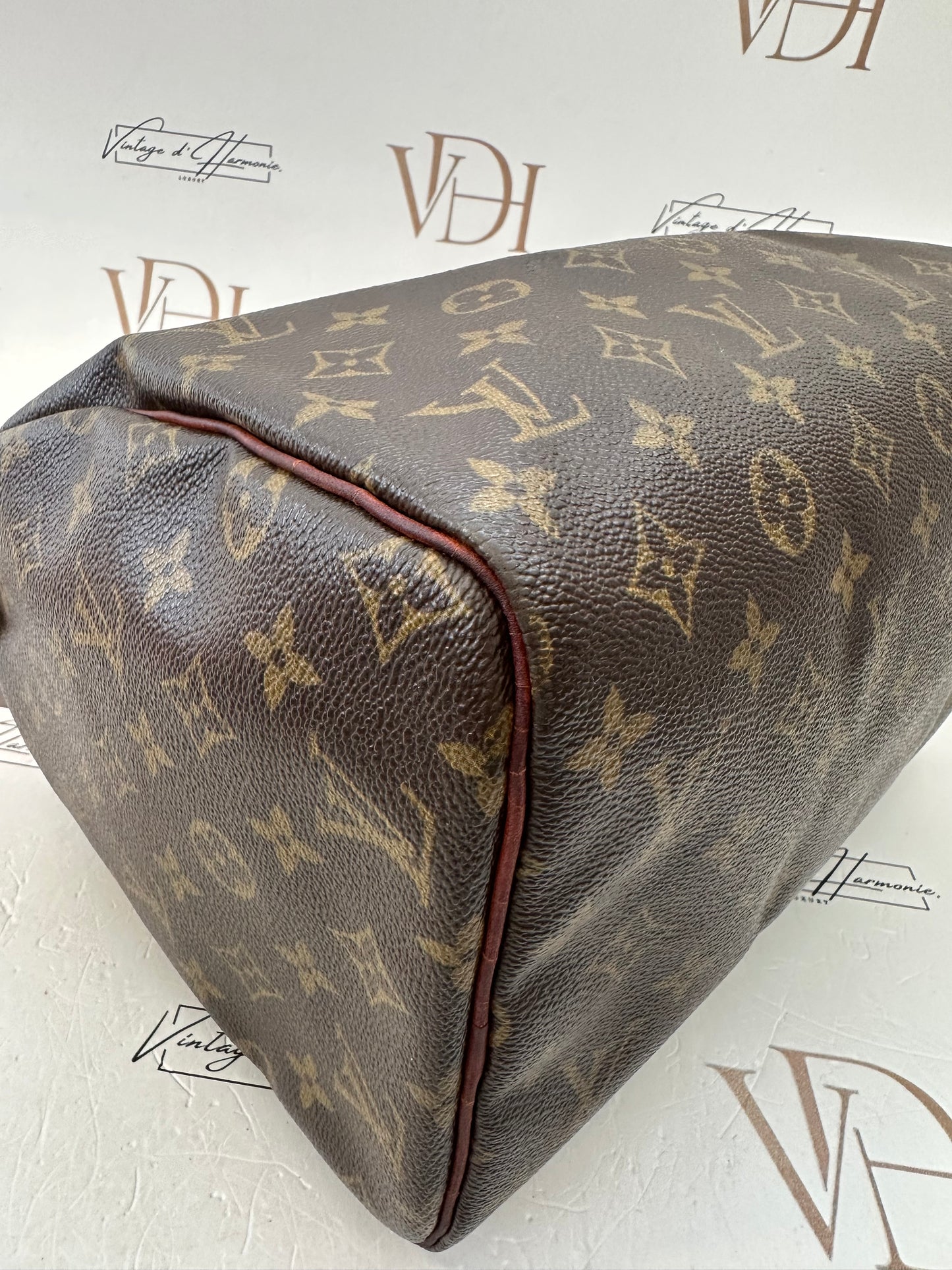 016863 - Louis Vuitton Speedy 30