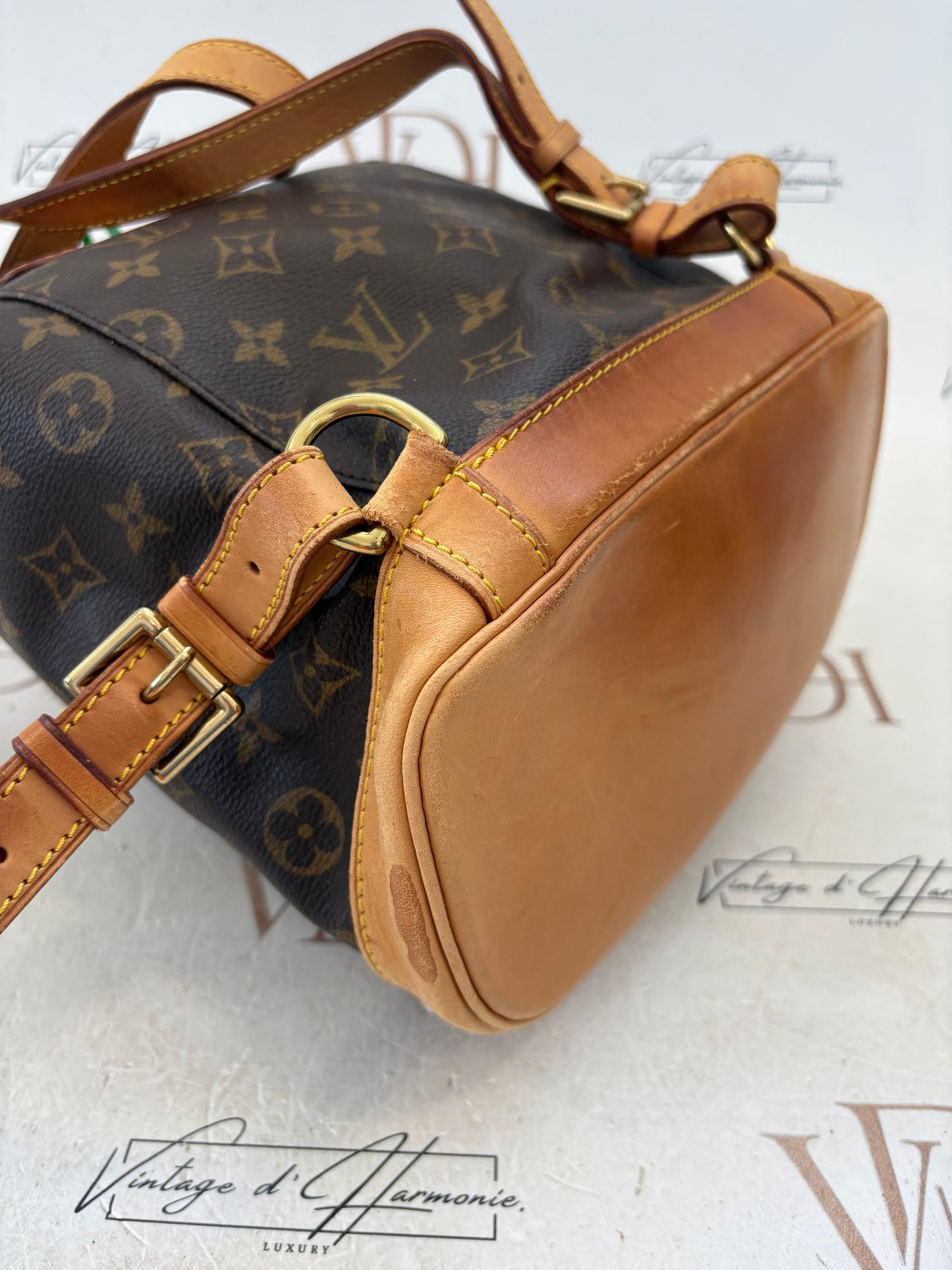 017177 - Louis Vuitton Montsouris MM