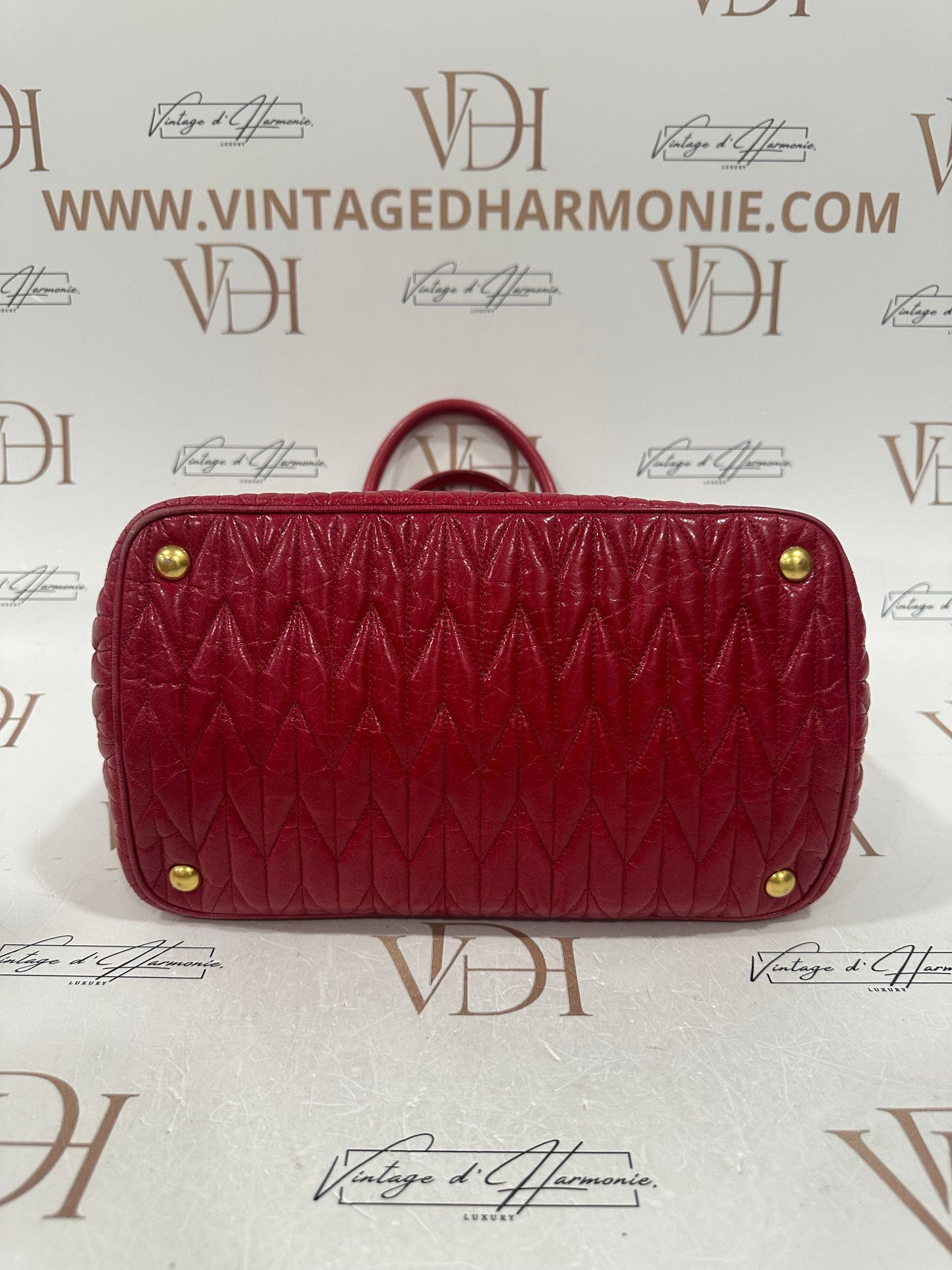 382796 - Miu Miu