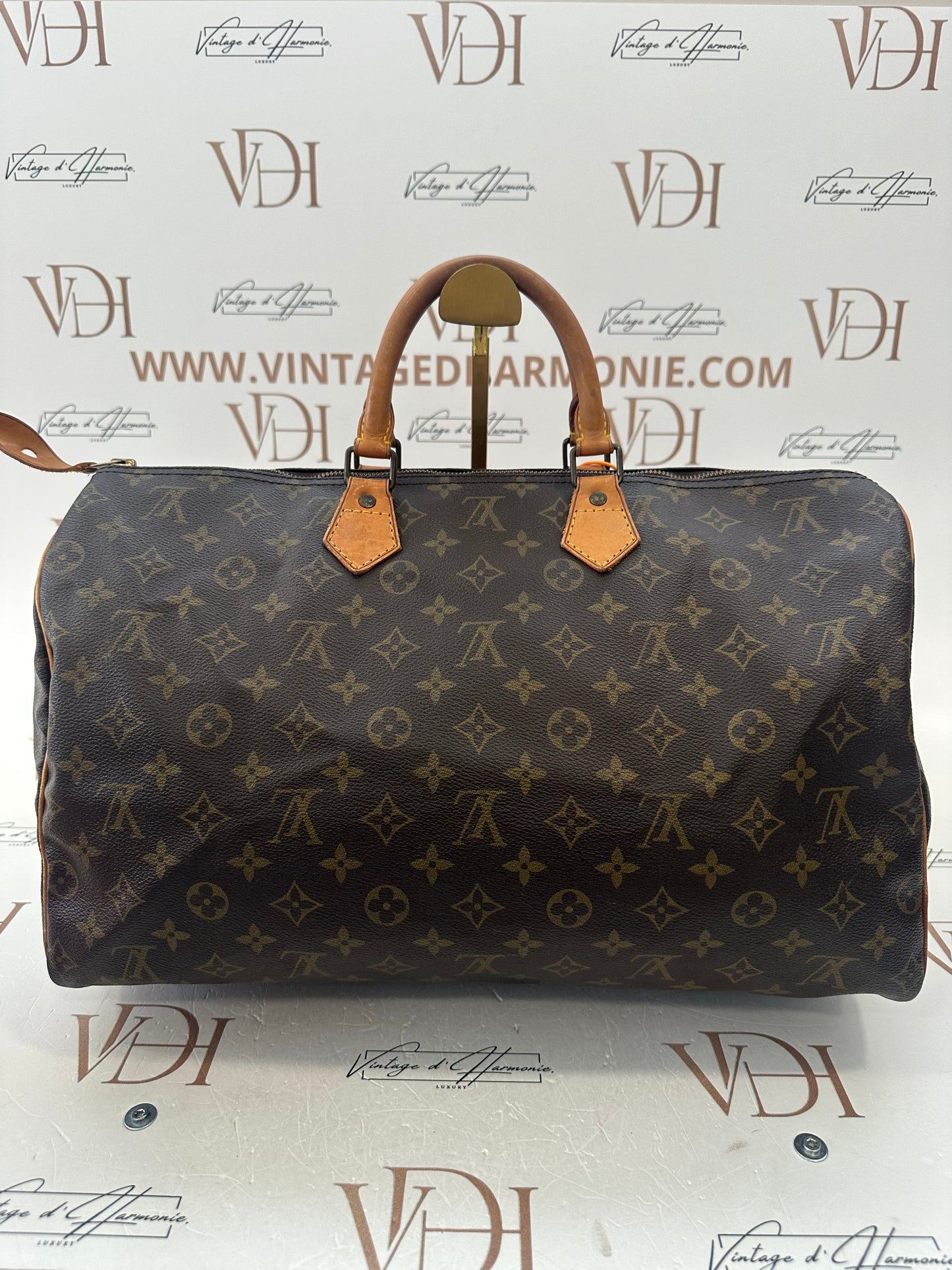 017856 - Louis Vuitton Speedy 40