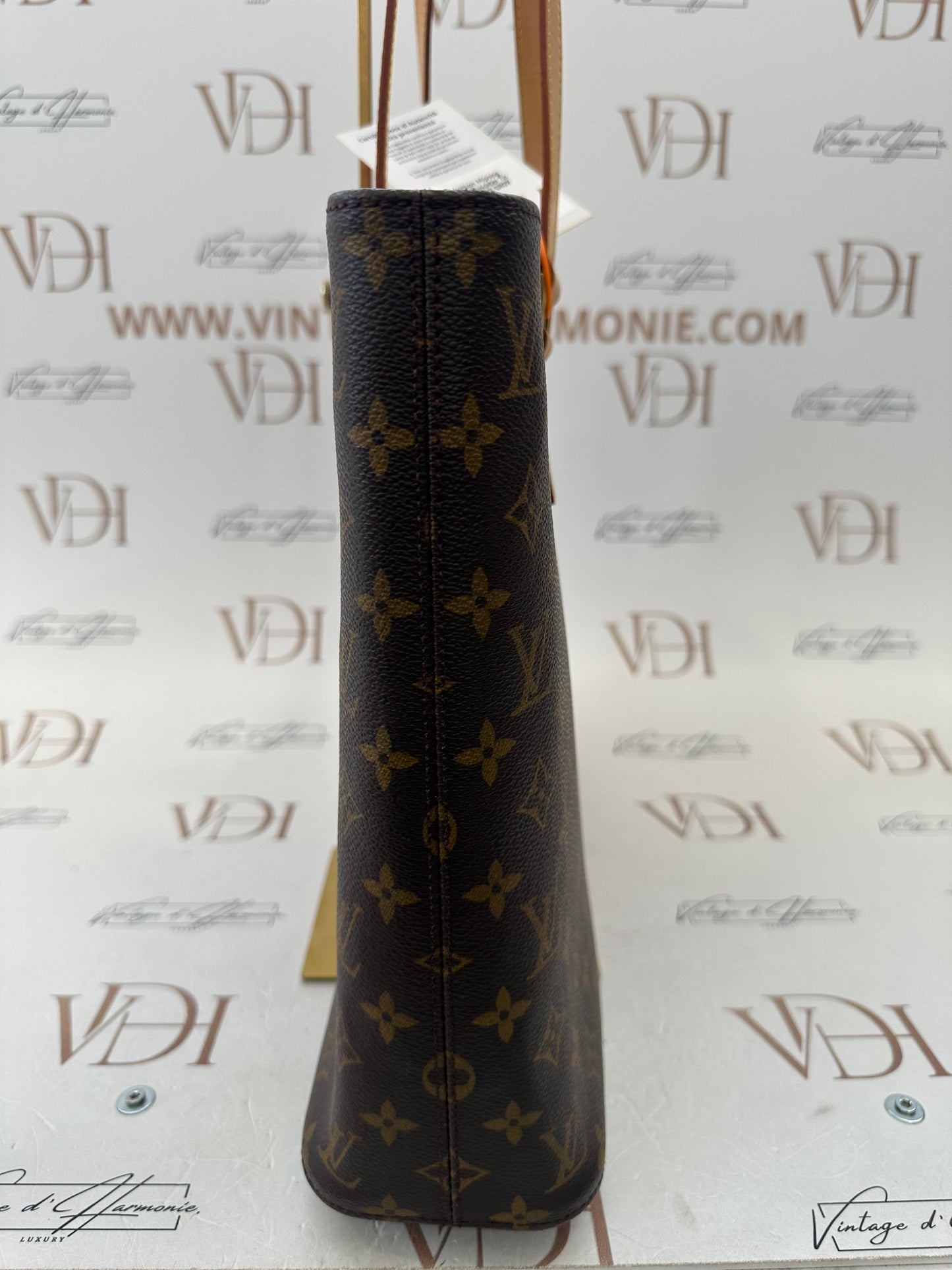 017864 - Louis Vuitton Luco