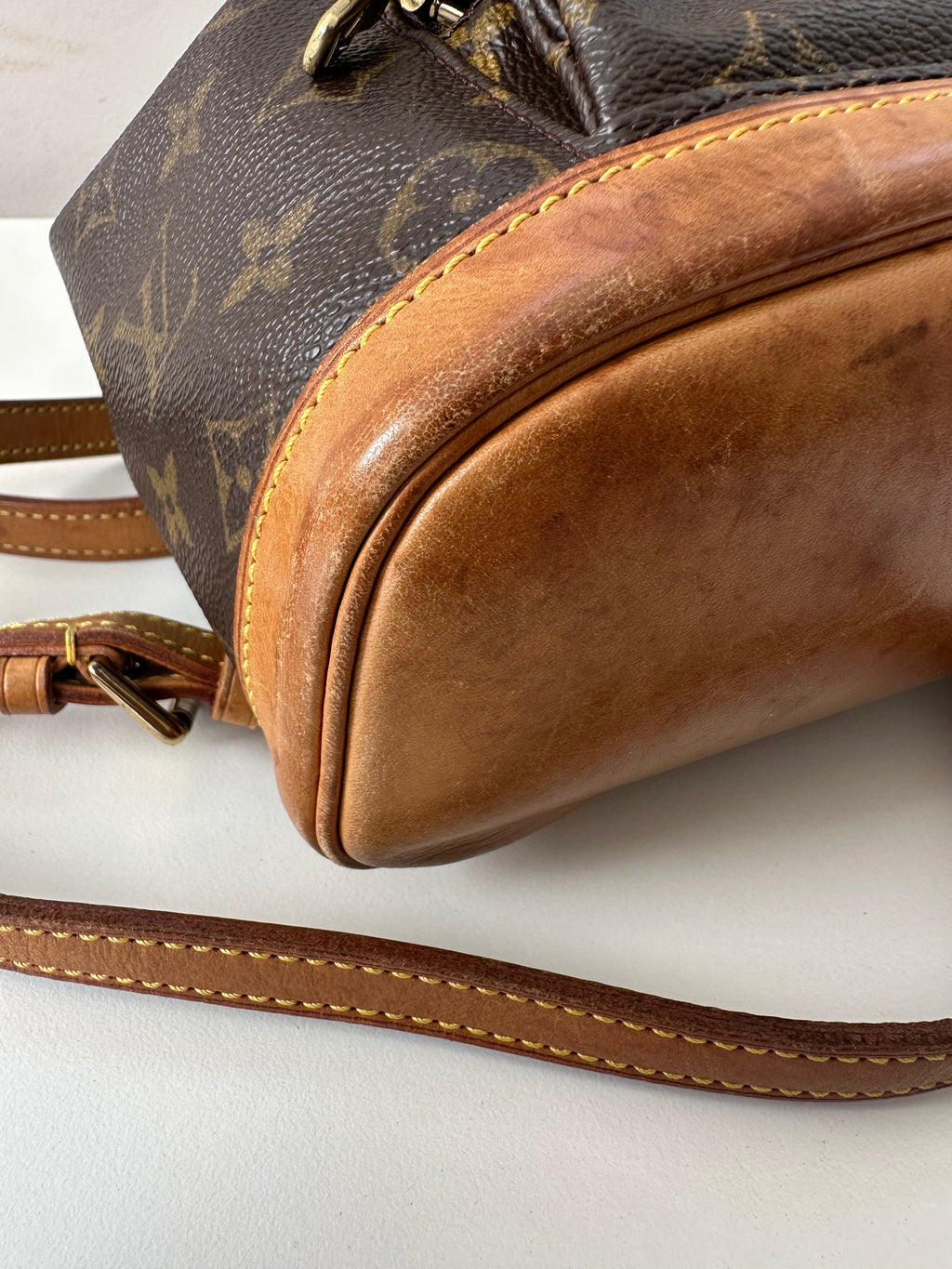 Louis Vuitton Montsouris Mini