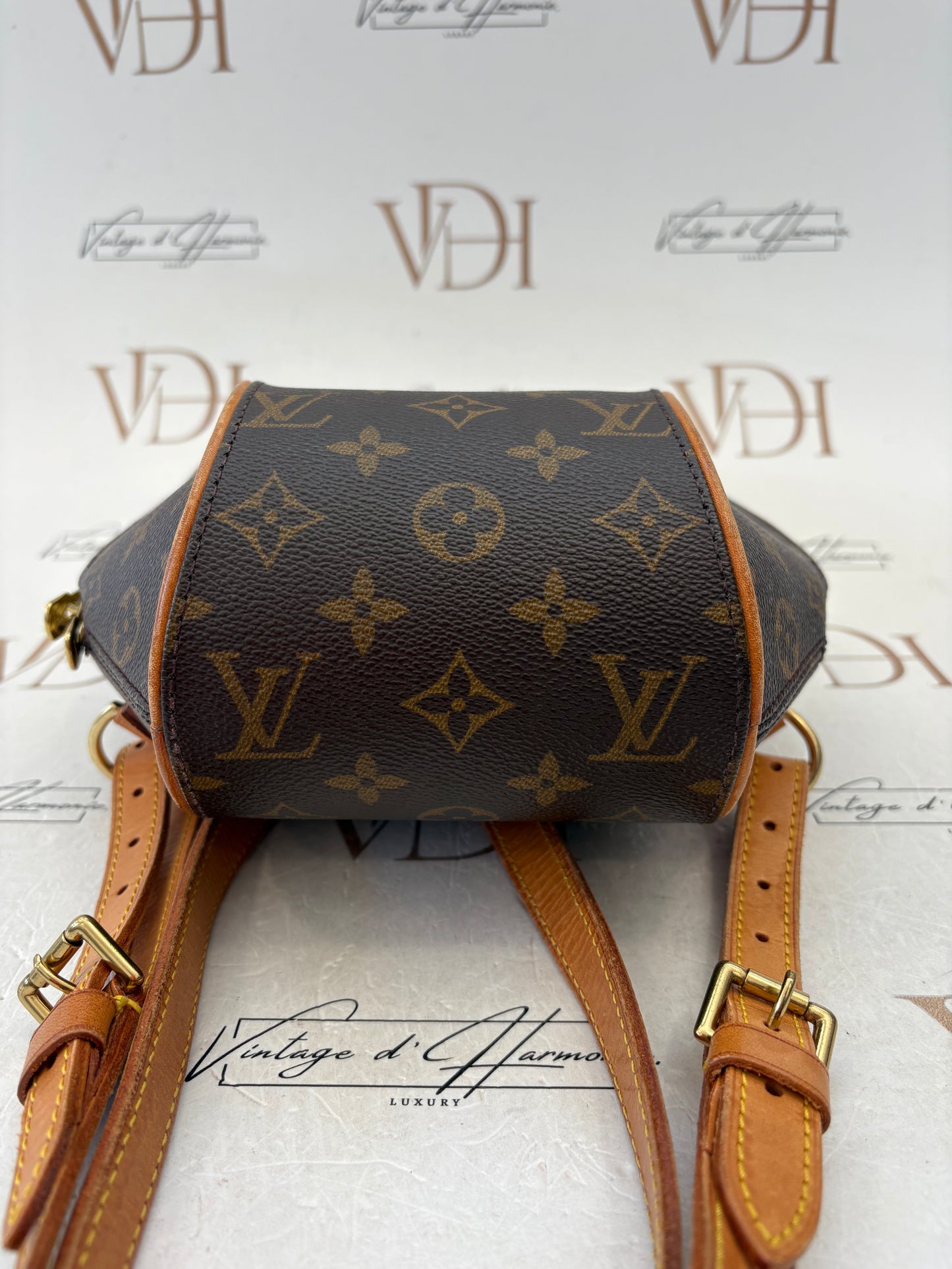 018994 - Louis Vuitton Ellipse