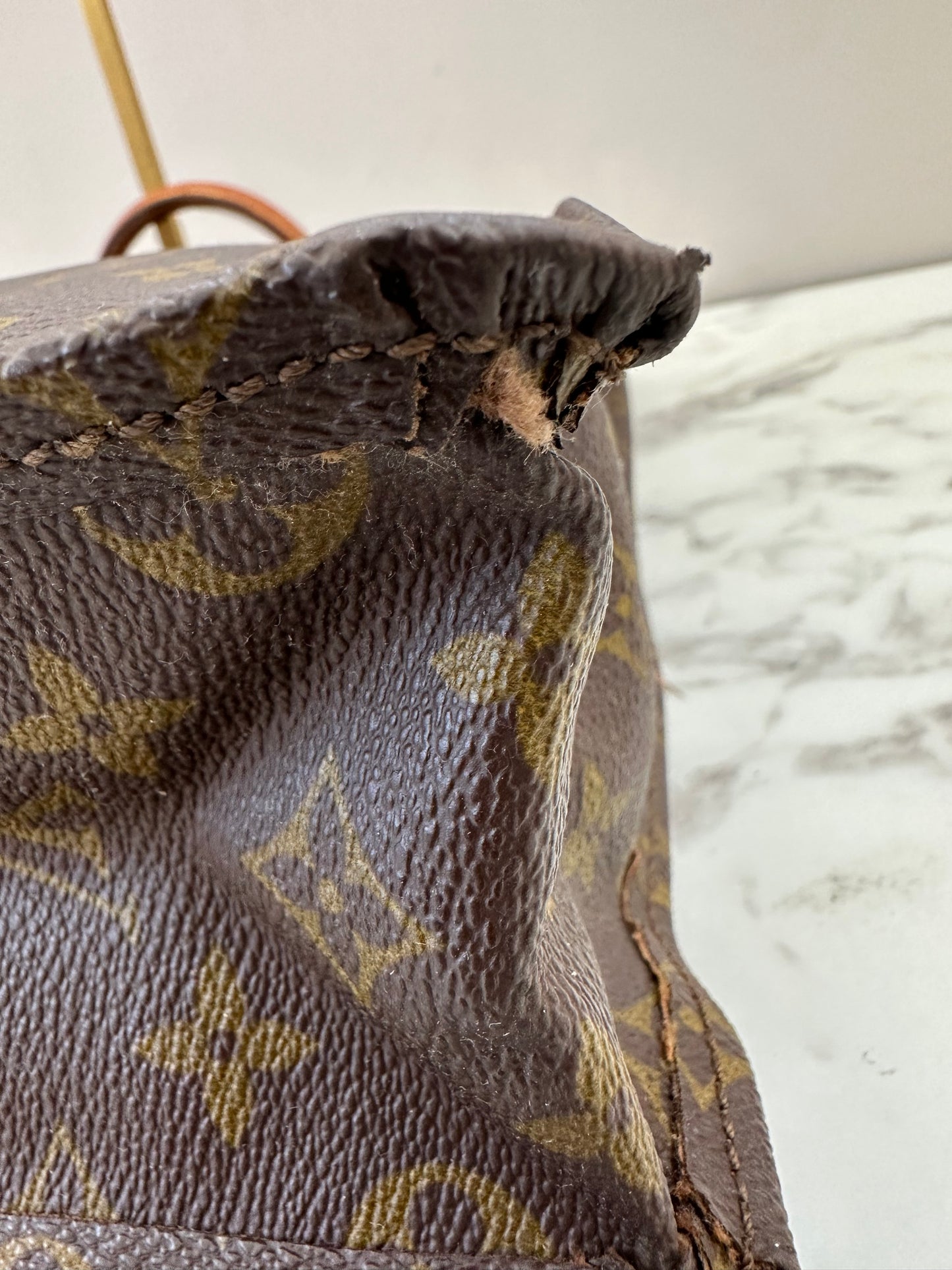 Louis Vuitton Sac Plat