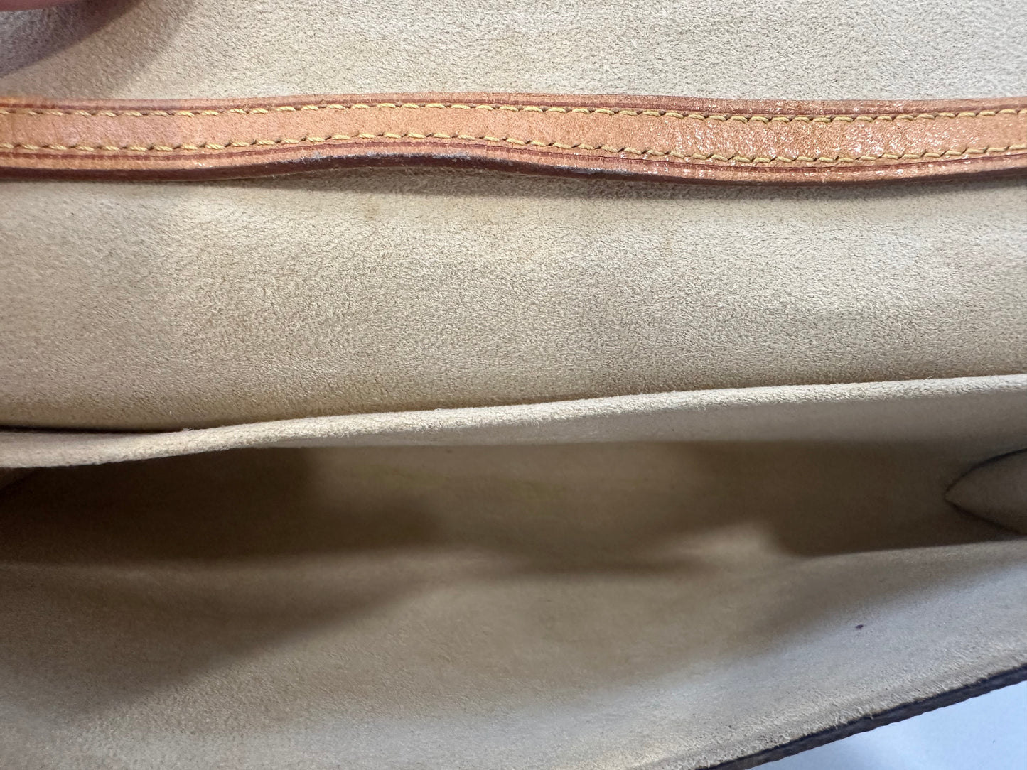 Louis Vuitton Pochette Twin GM