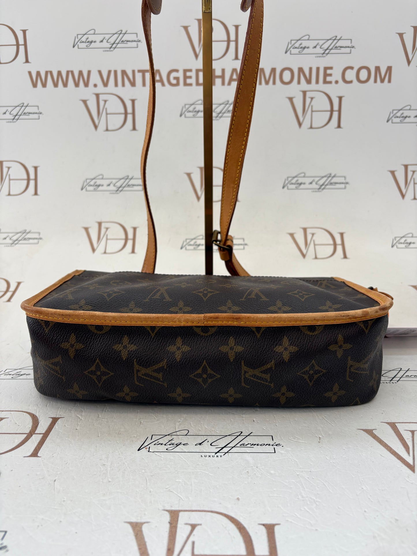 018262 - Louis Vuitton Gibeciere MM