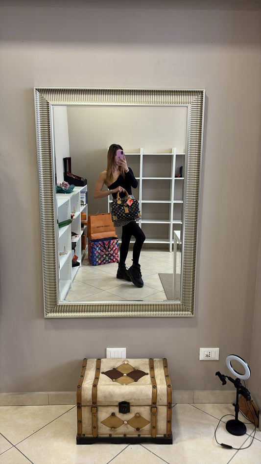 Louis Vuitton Speedy 30 Multicolor