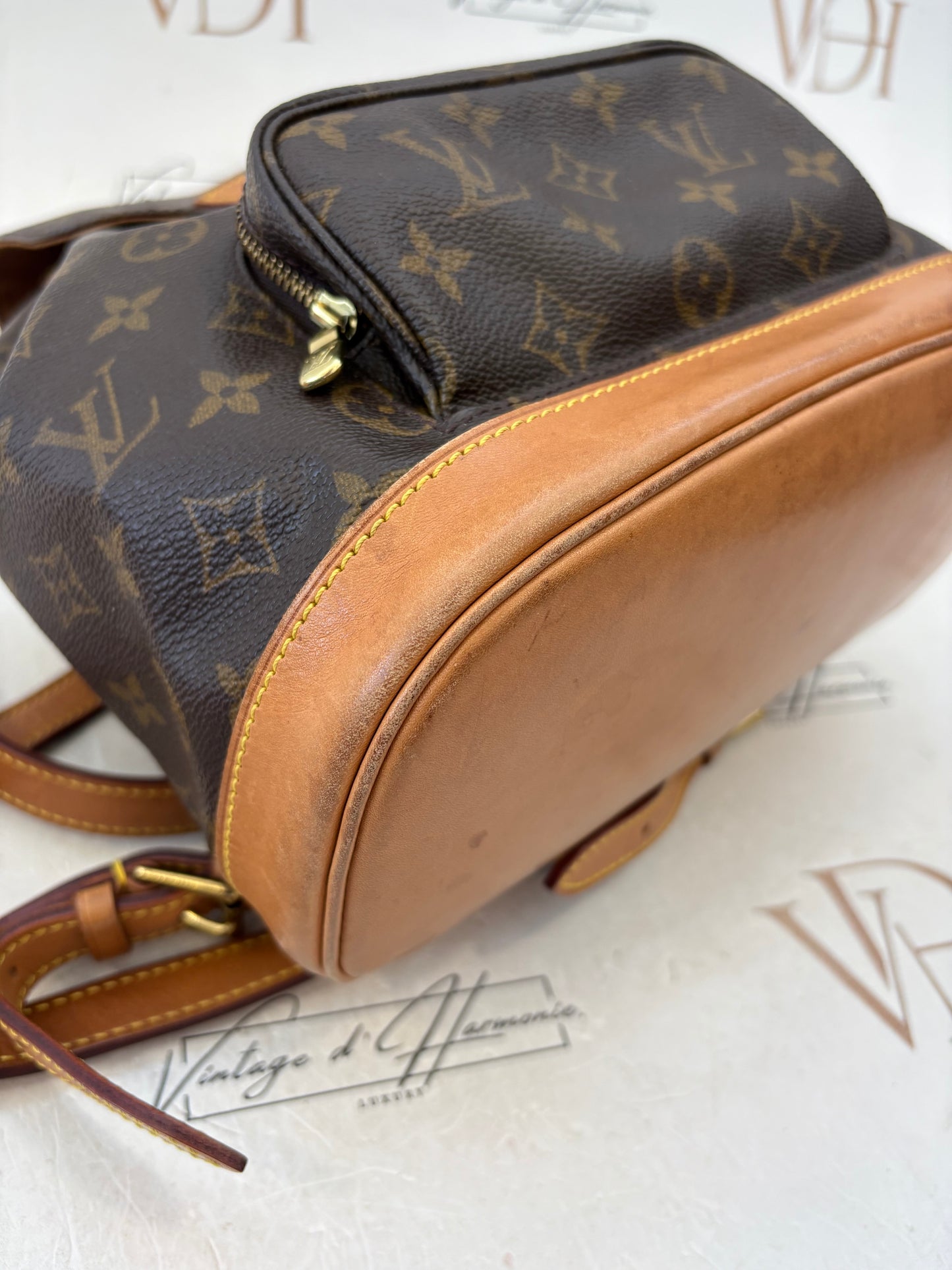 018897 - Louis Vuitton Montsouris MM