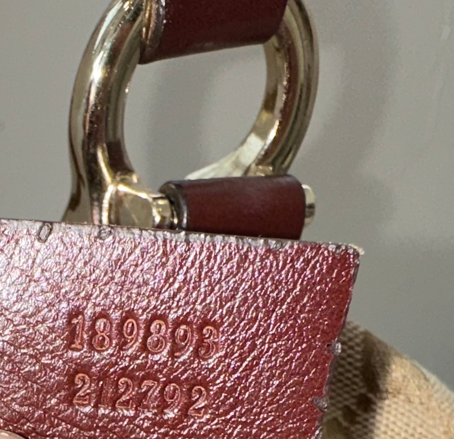 Gucci GG Canvas