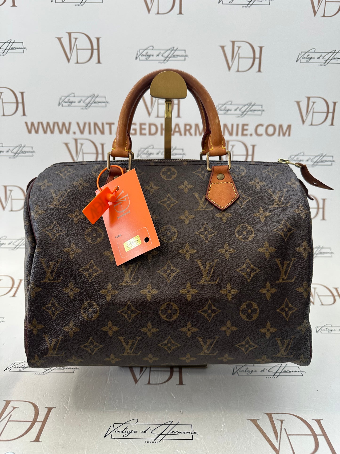 016863 - Louis Vuitton Speedy 30