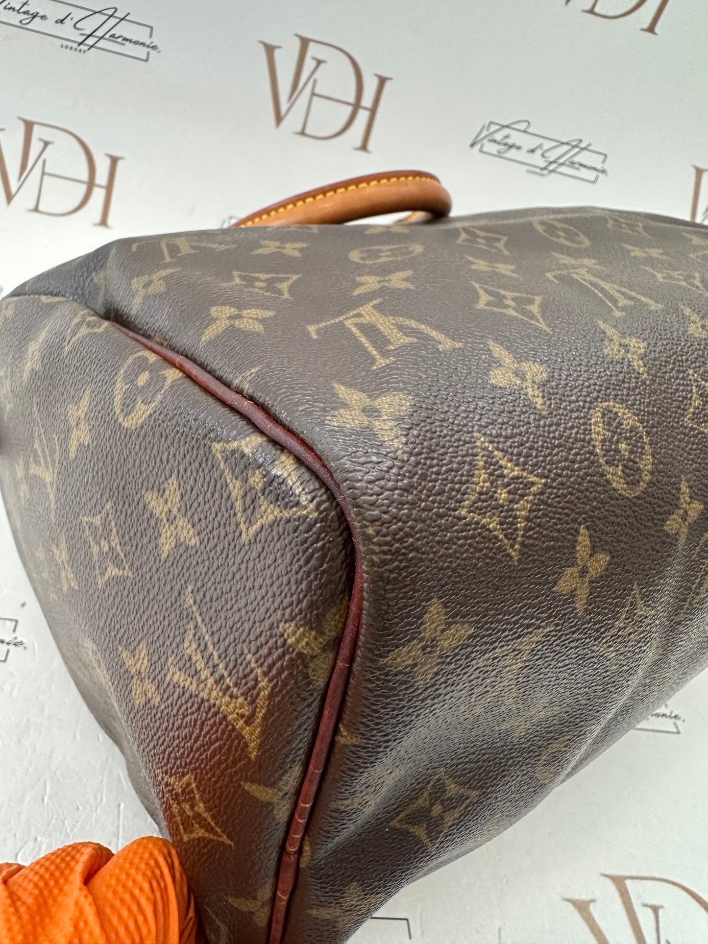016863 - Louis Vuitton Speedy 30
