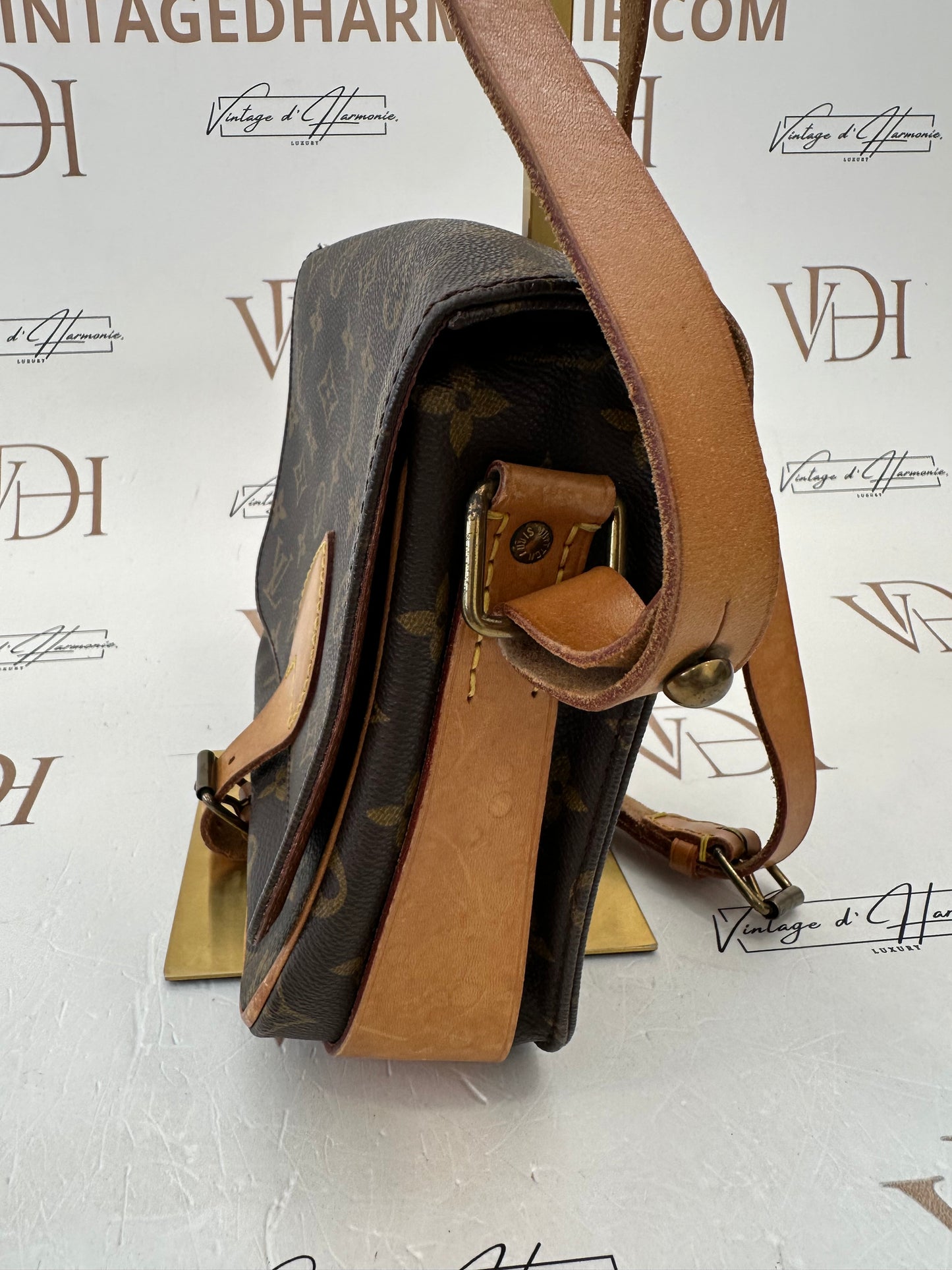 017827 - Louis Vuitton Cartouchiere MM