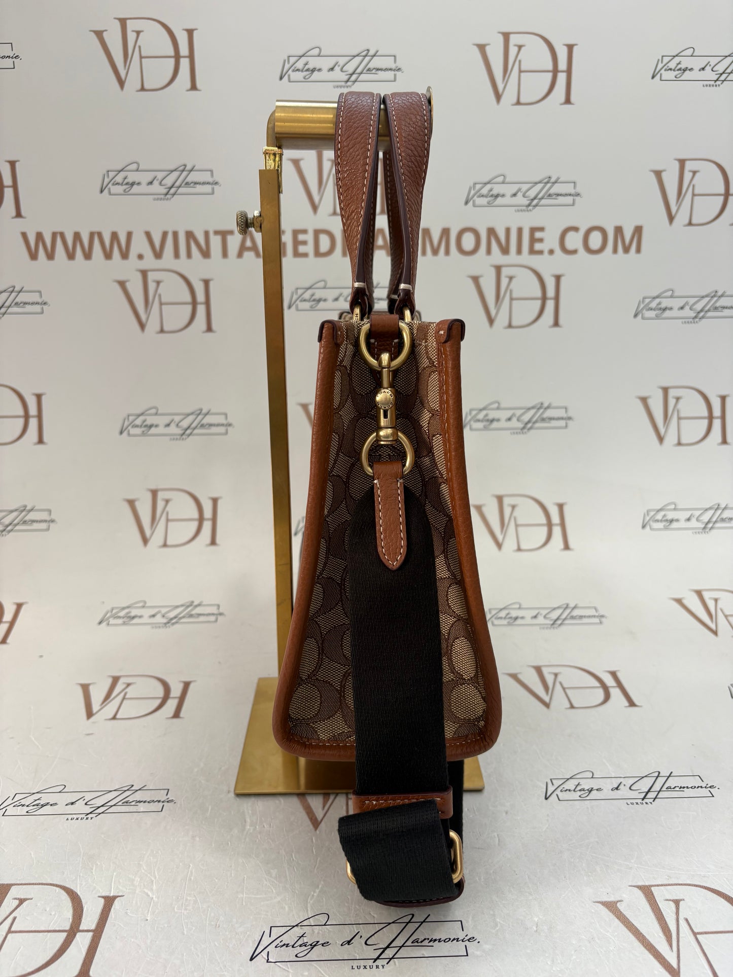 382695 - Coach Disney