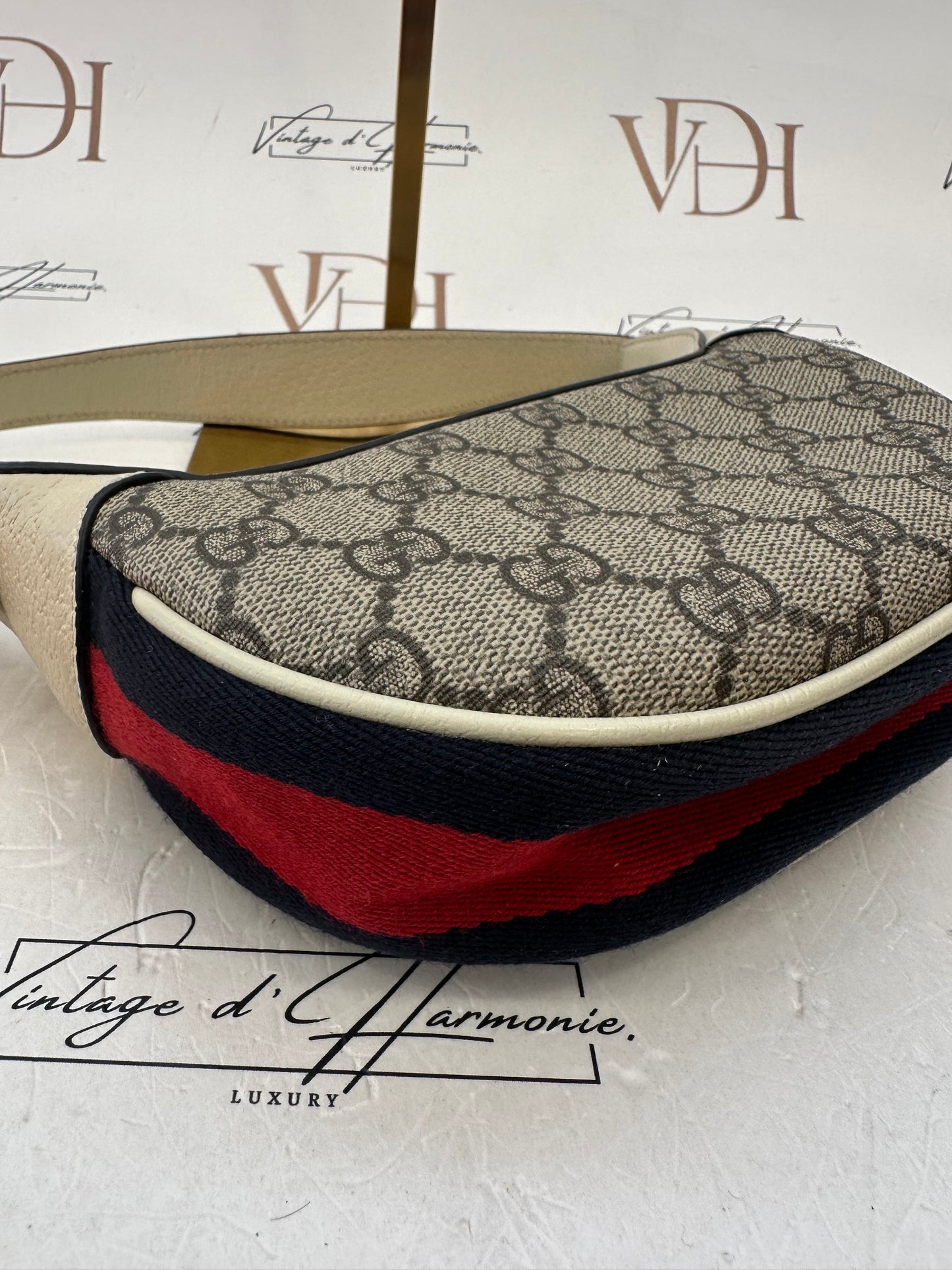 102523 - Gucci Ophidia