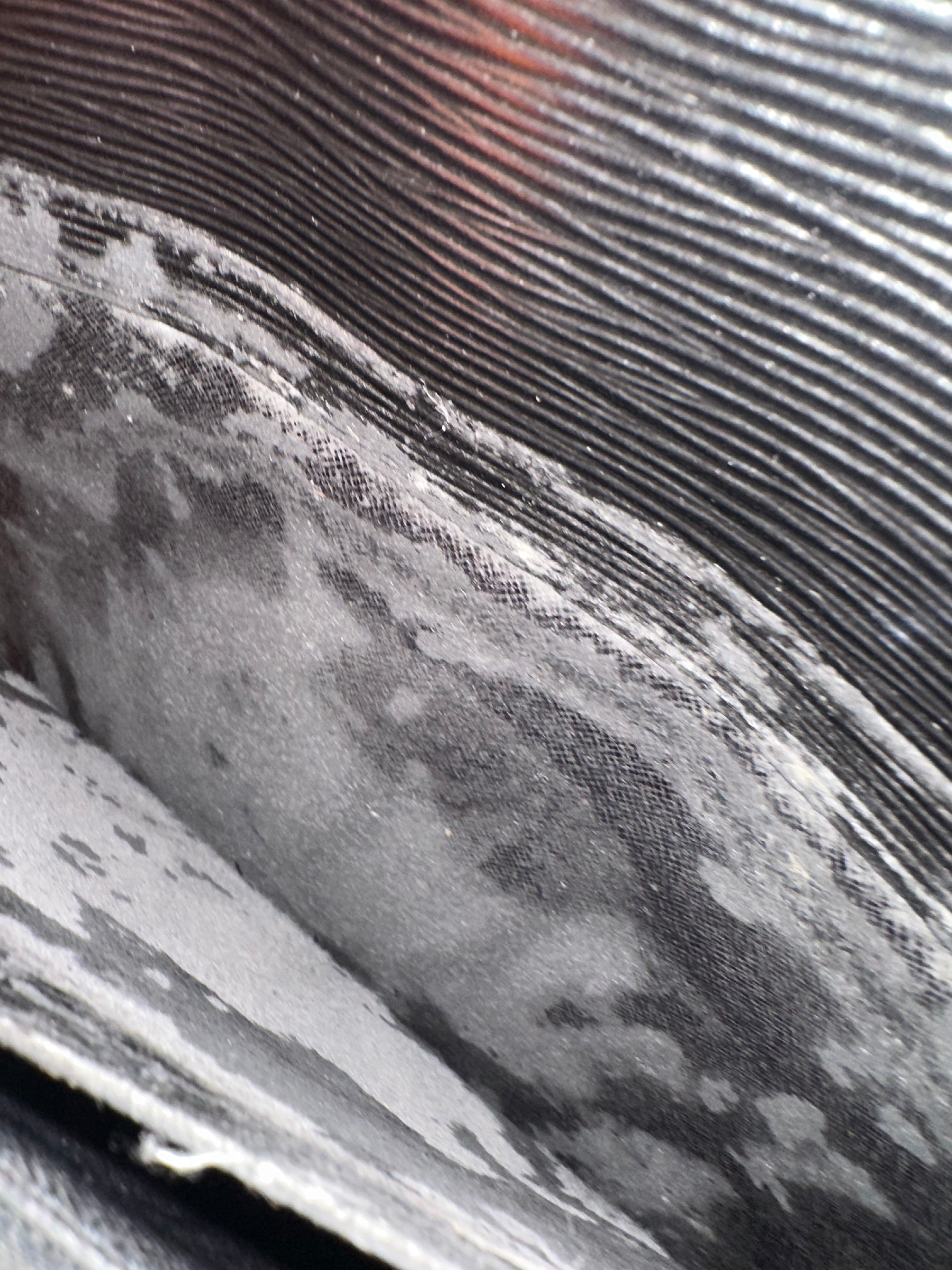 Louis Vuitton Epi Porte Documents