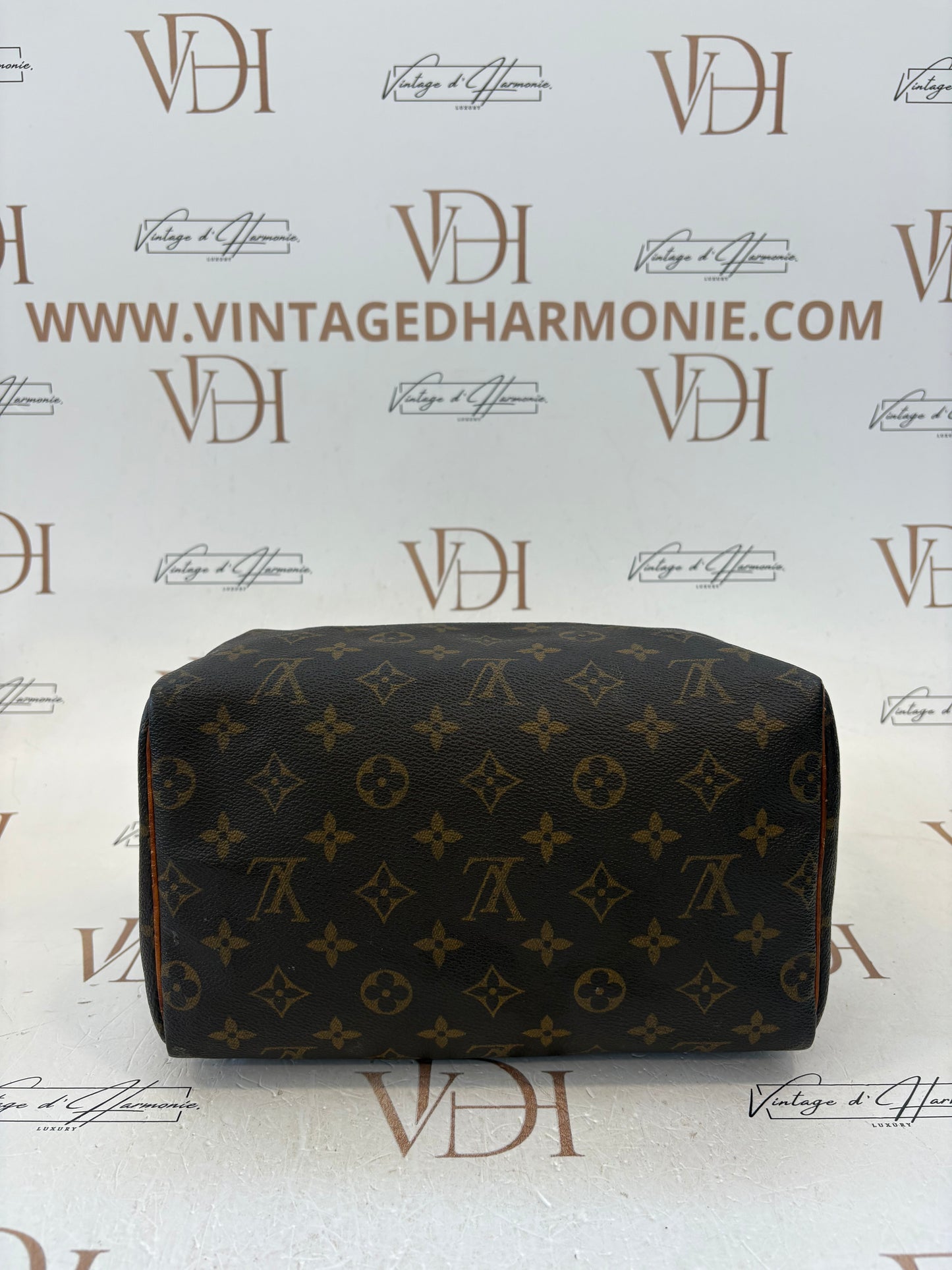 017317 - Louis Vuitton Speedy 25