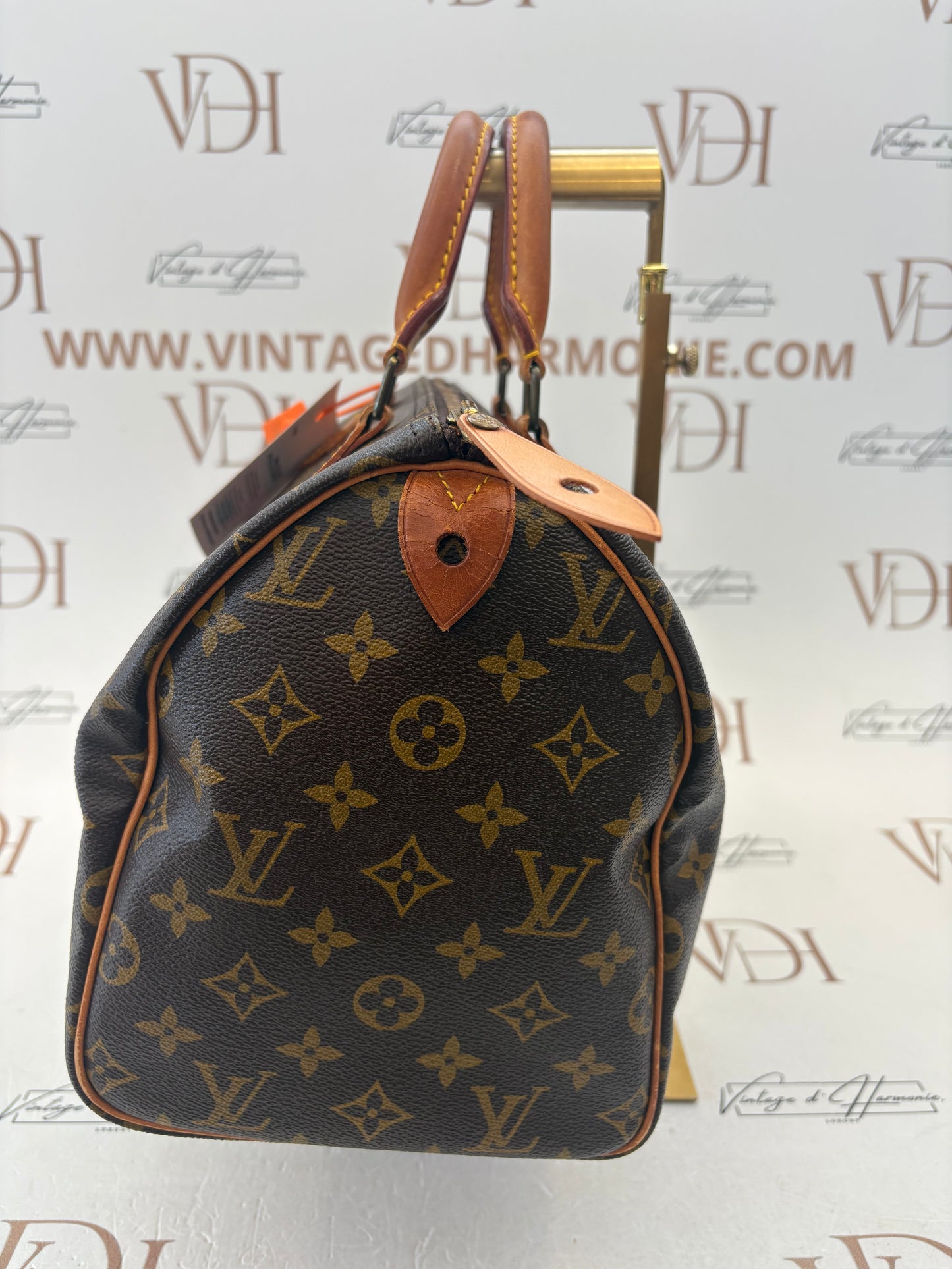 018907 - Louis Vuitton Speedy 30