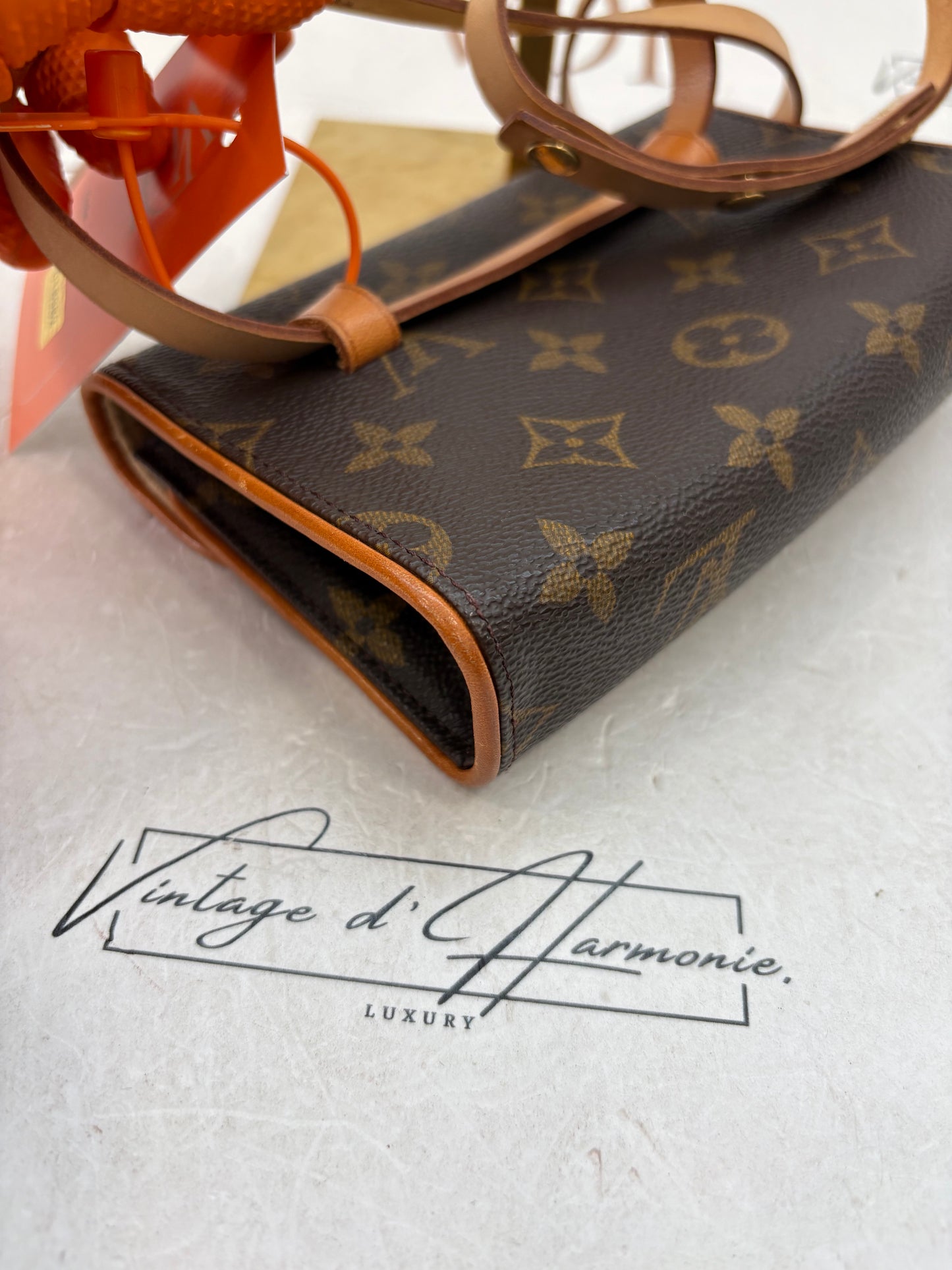 018982 - Louis Vuitton Florentine