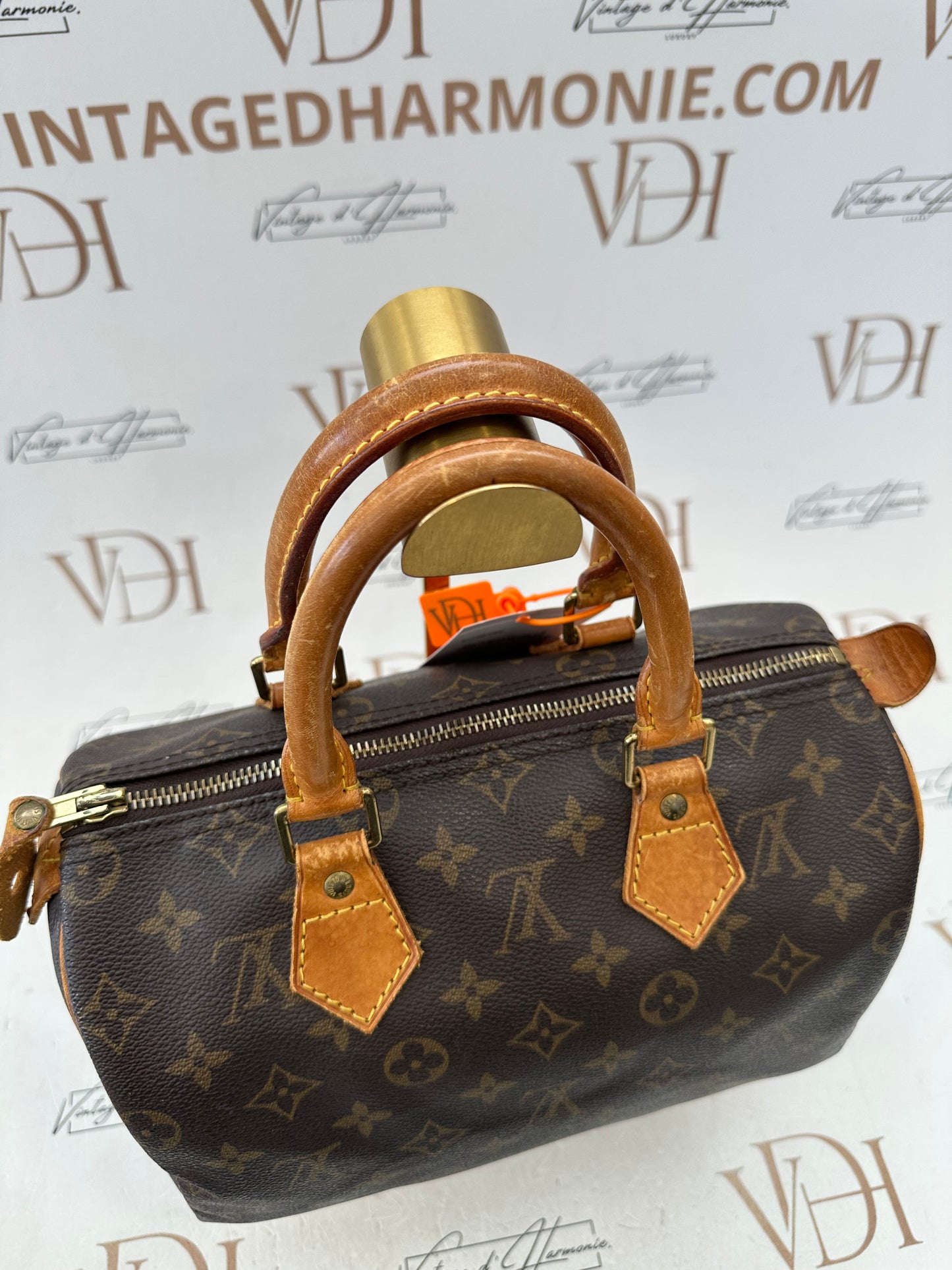 018751 - Louis Vuitton Speedy 25