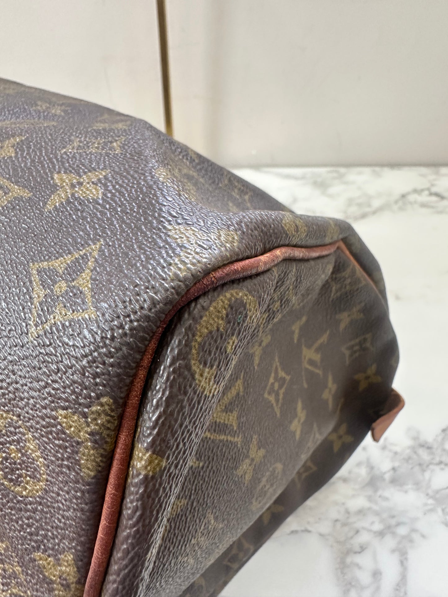 Louis Vuitton Speedy 35