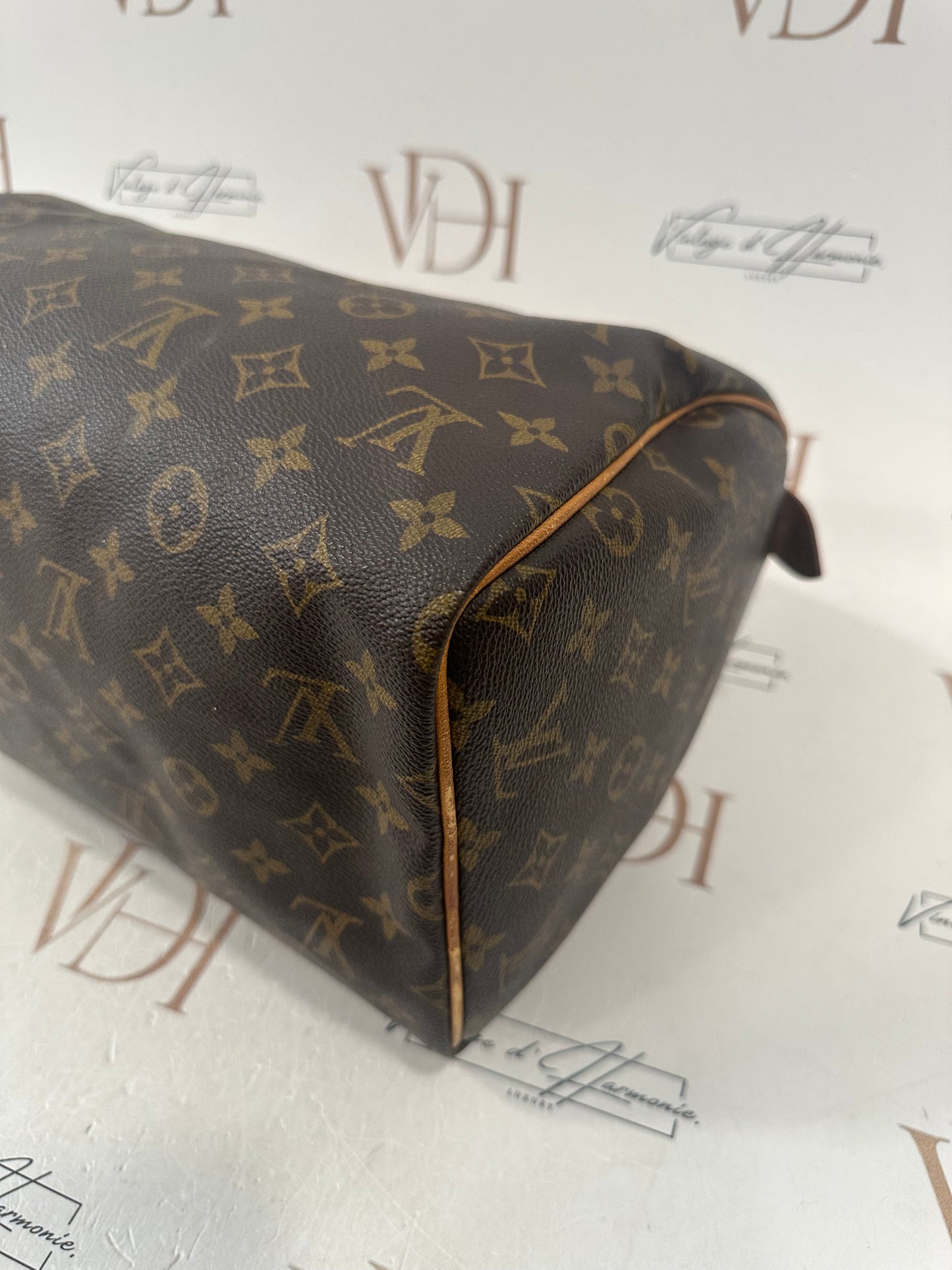018723 - Louis Vuitton Speedy 30