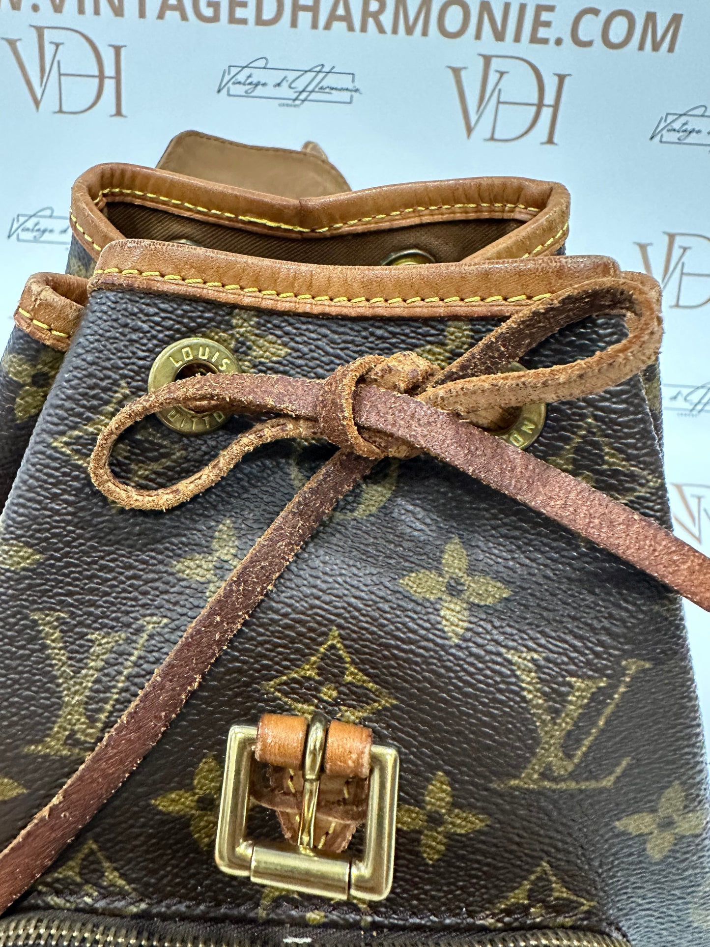 016864 - Louis Vuitton Mini Montsouris