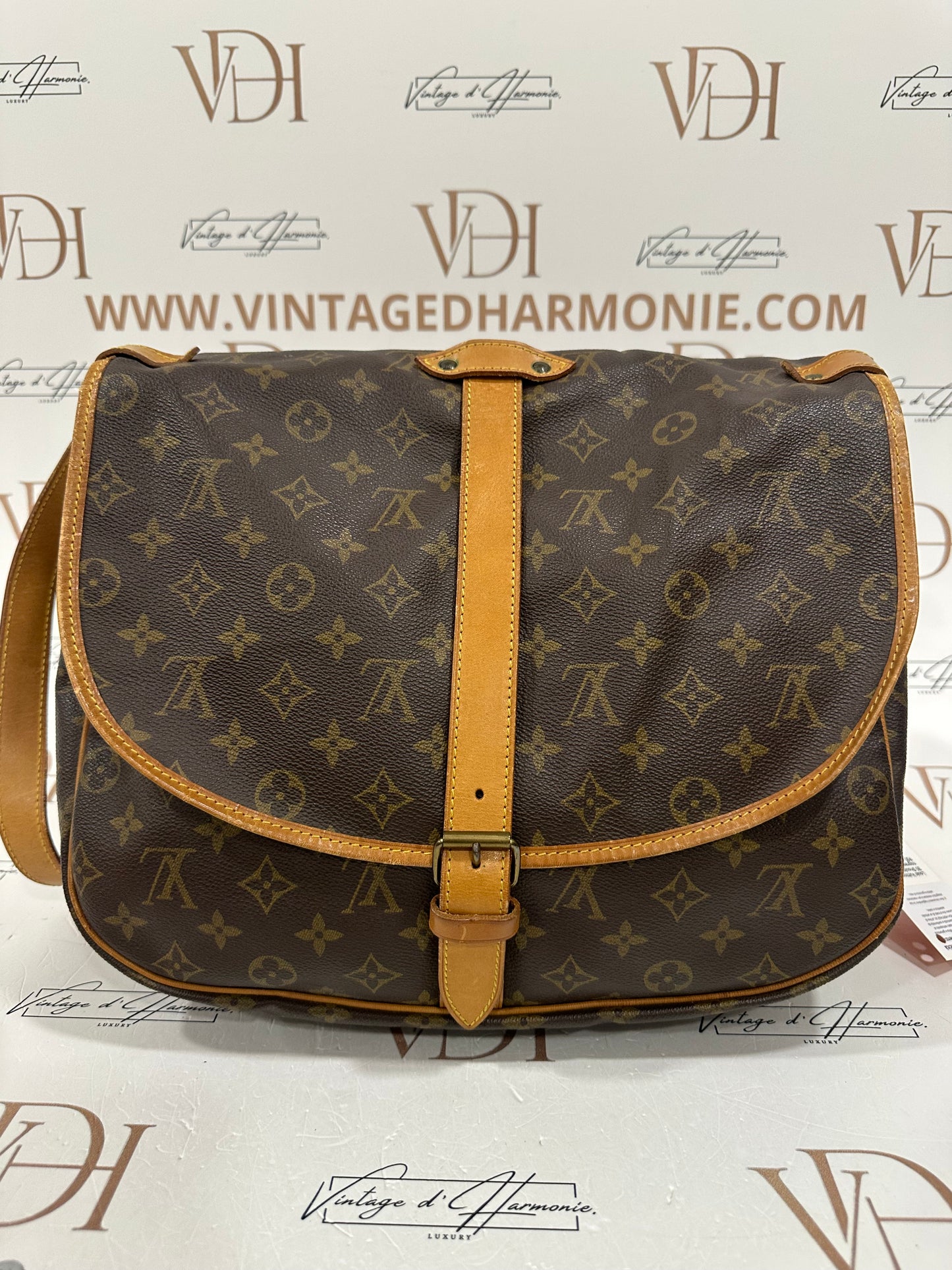 016862 - Louis Vuitton Saumur 35