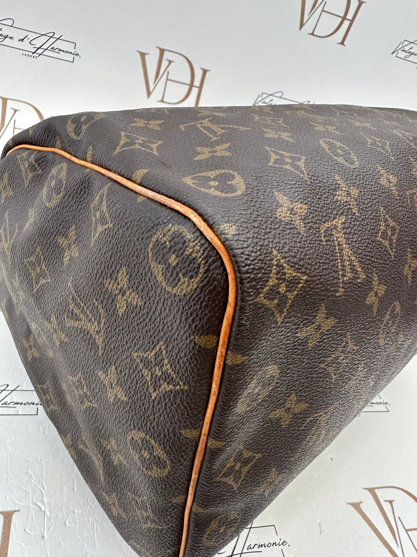 017863 - Louis Vuitton Speedy 35