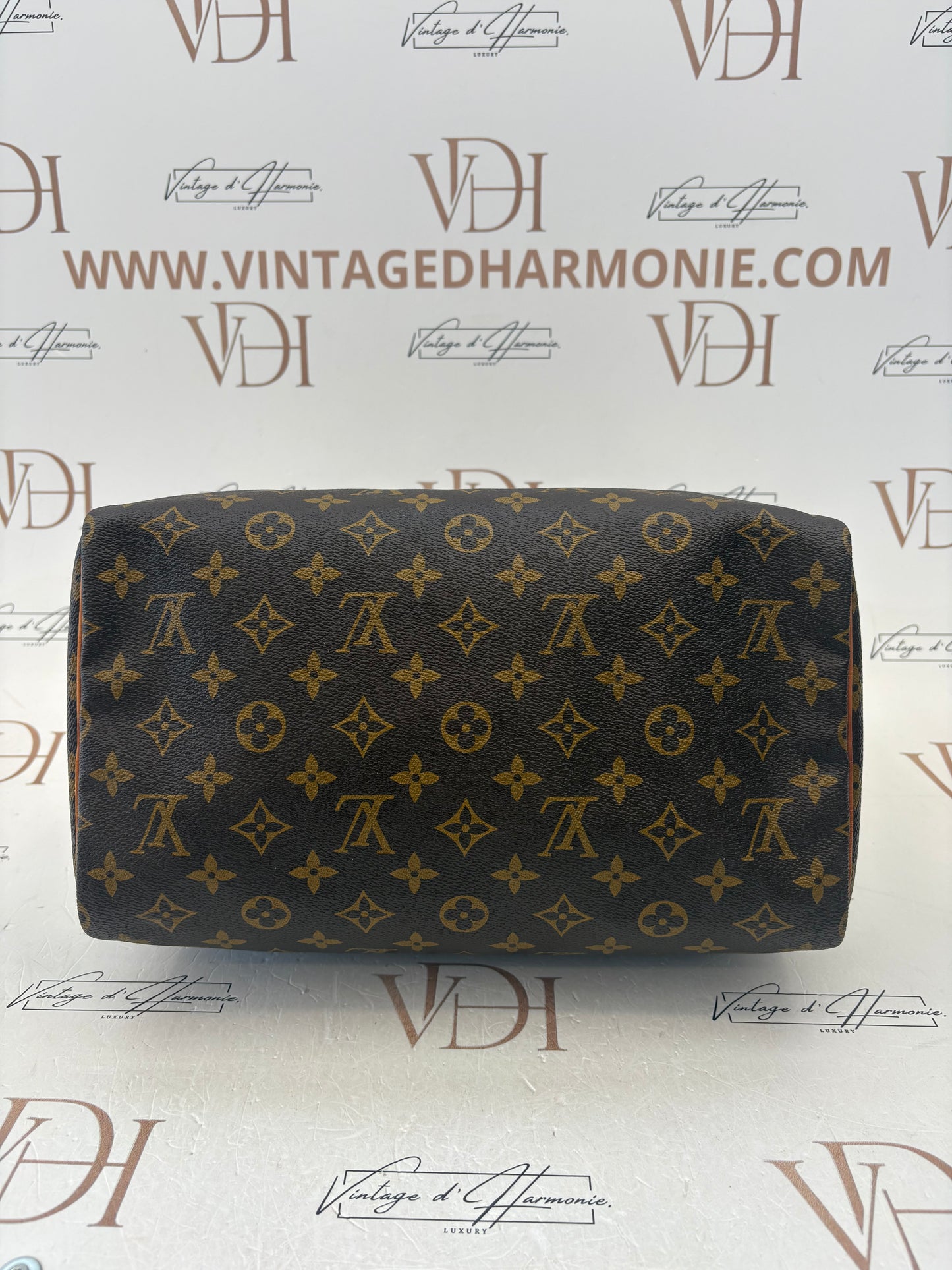 018907 - Louis Vuitton Speedy 30