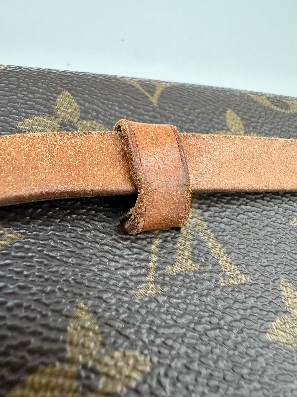 Louis Vuitton Florentine