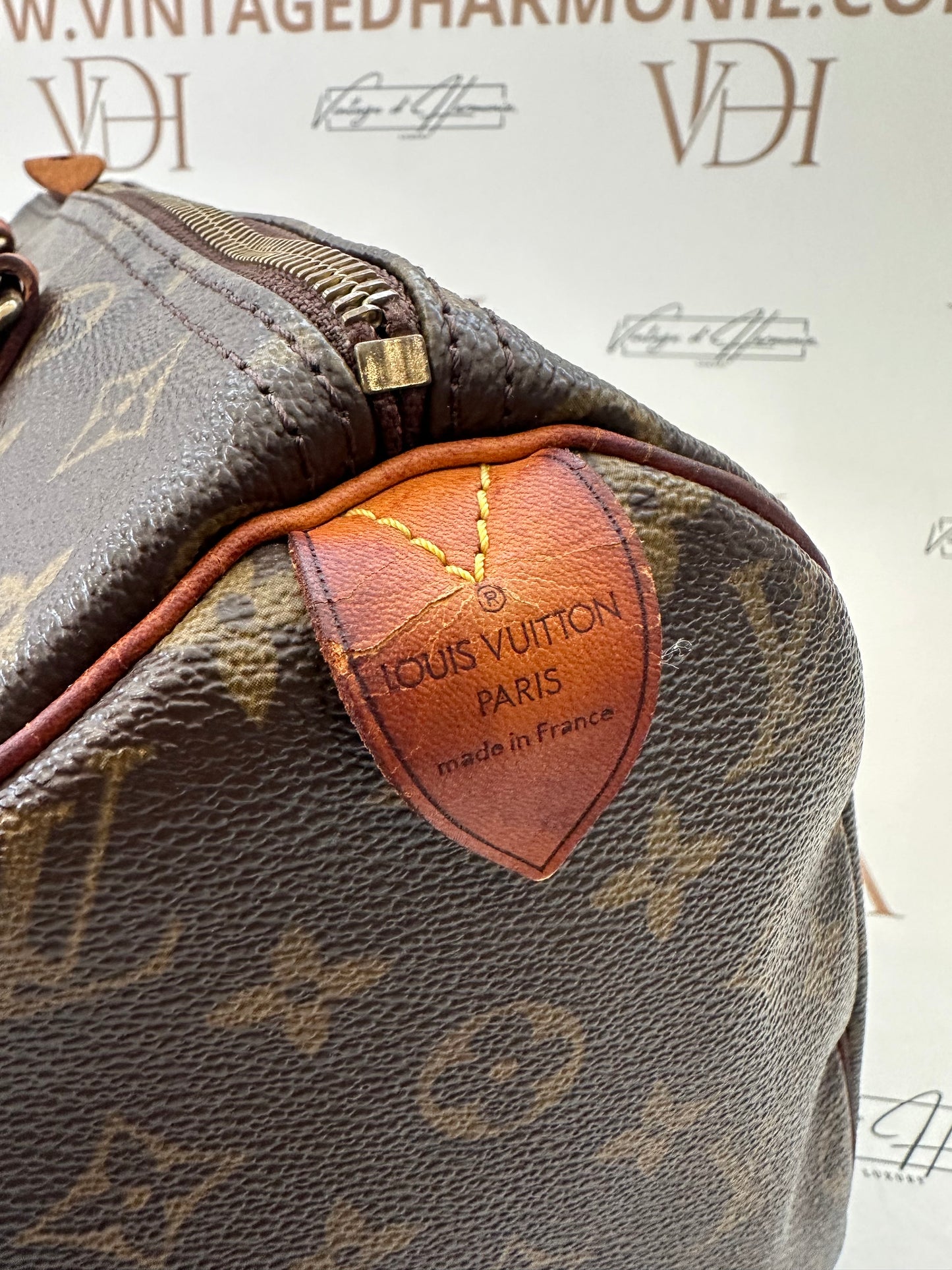 016863 - Louis Vuitton Speedy 30