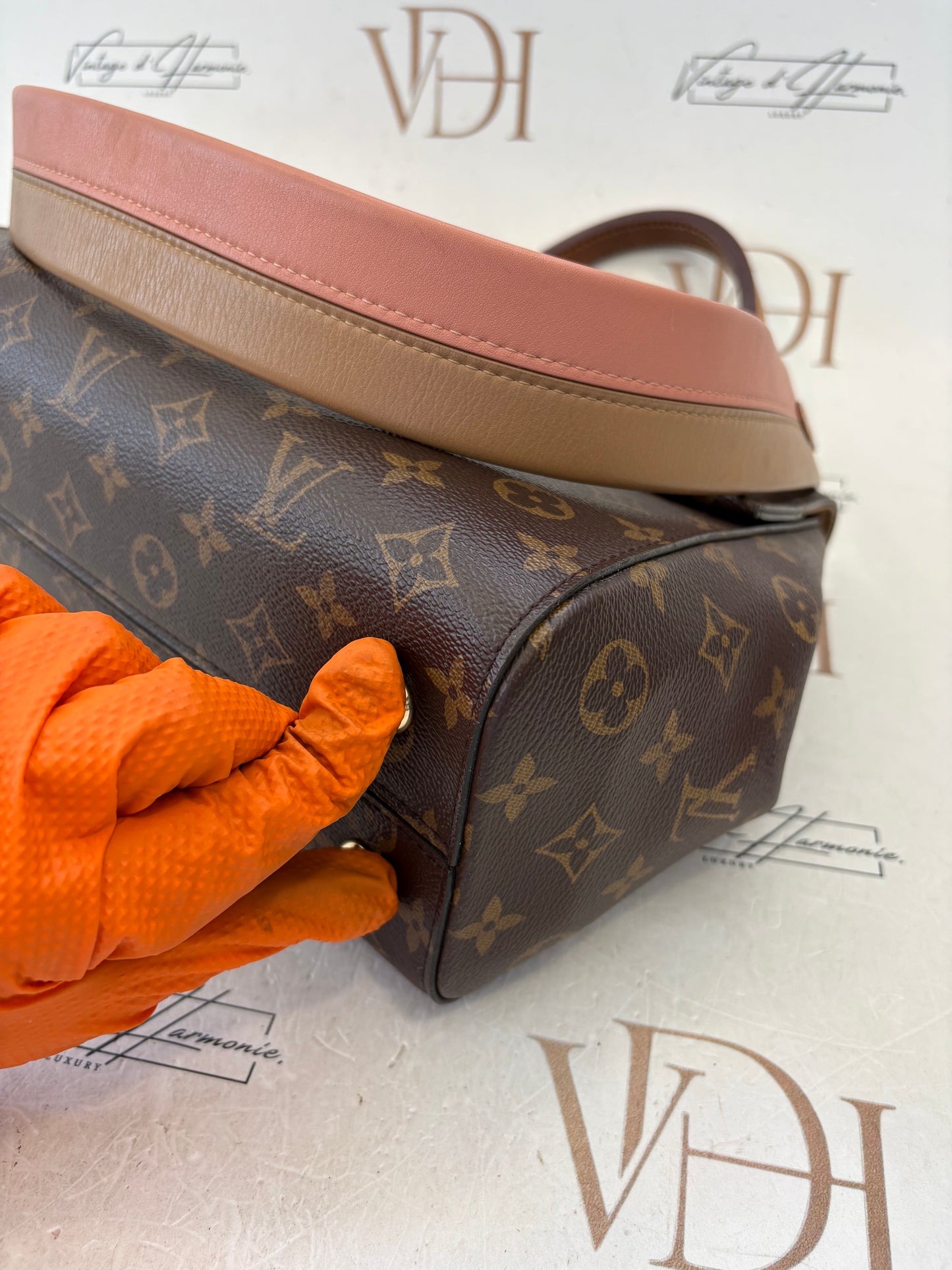 201487 - Louis Vuitton Cluny