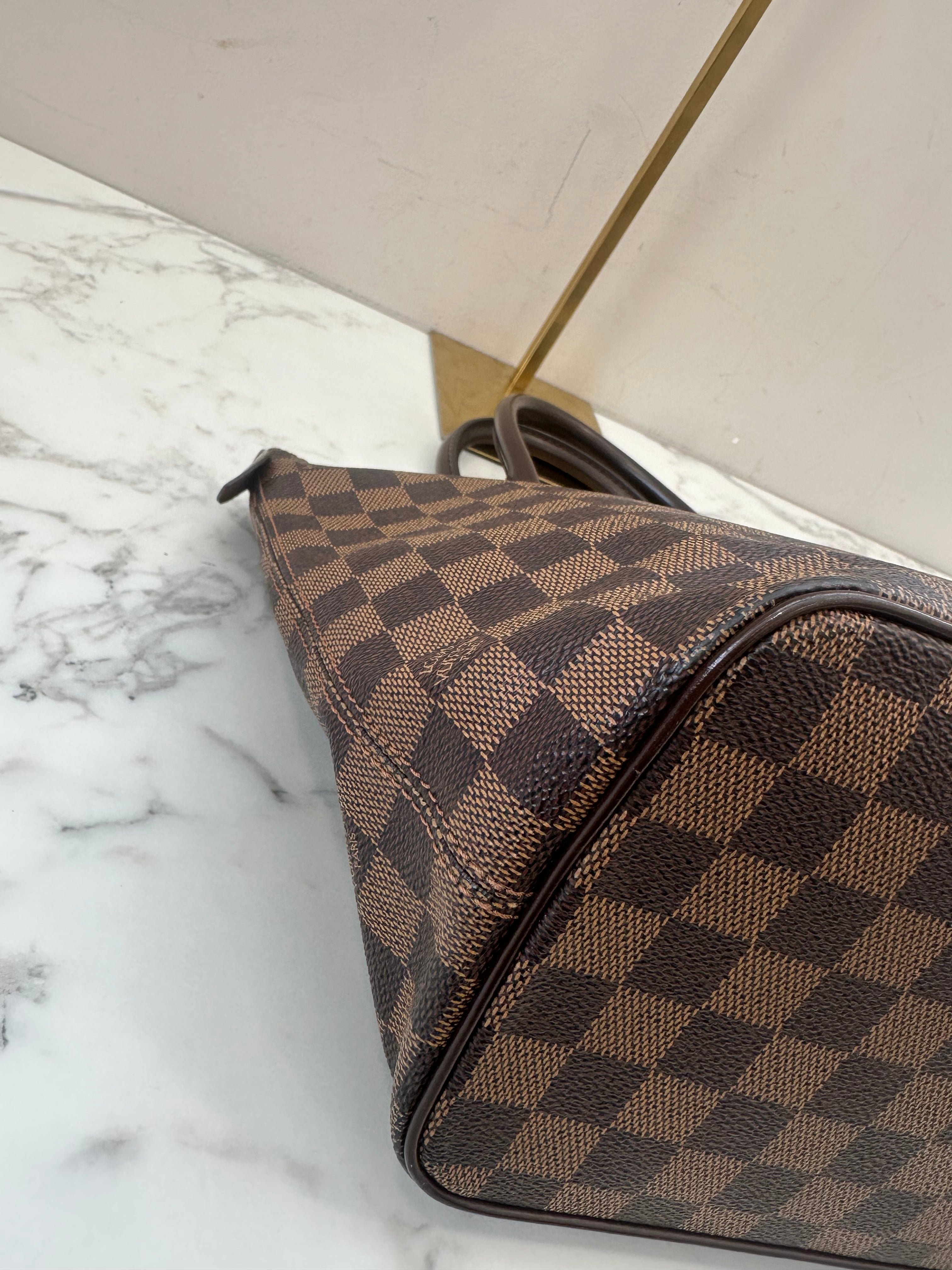 Louis Vuitton Damier Saleya PM