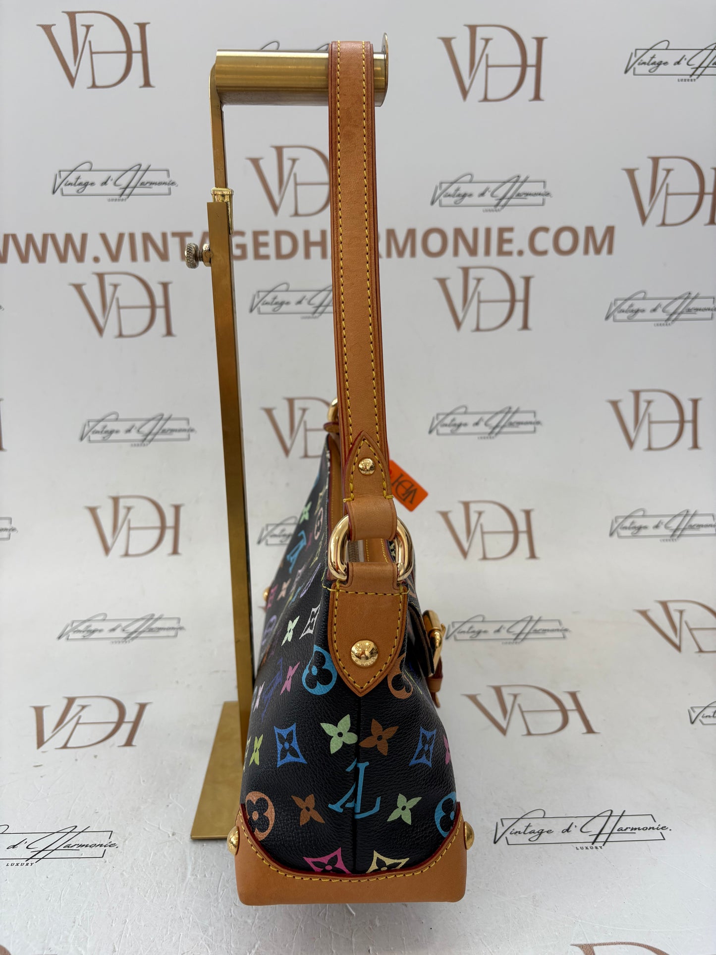 018346 - Louis Vuitton Multicolor Eliza