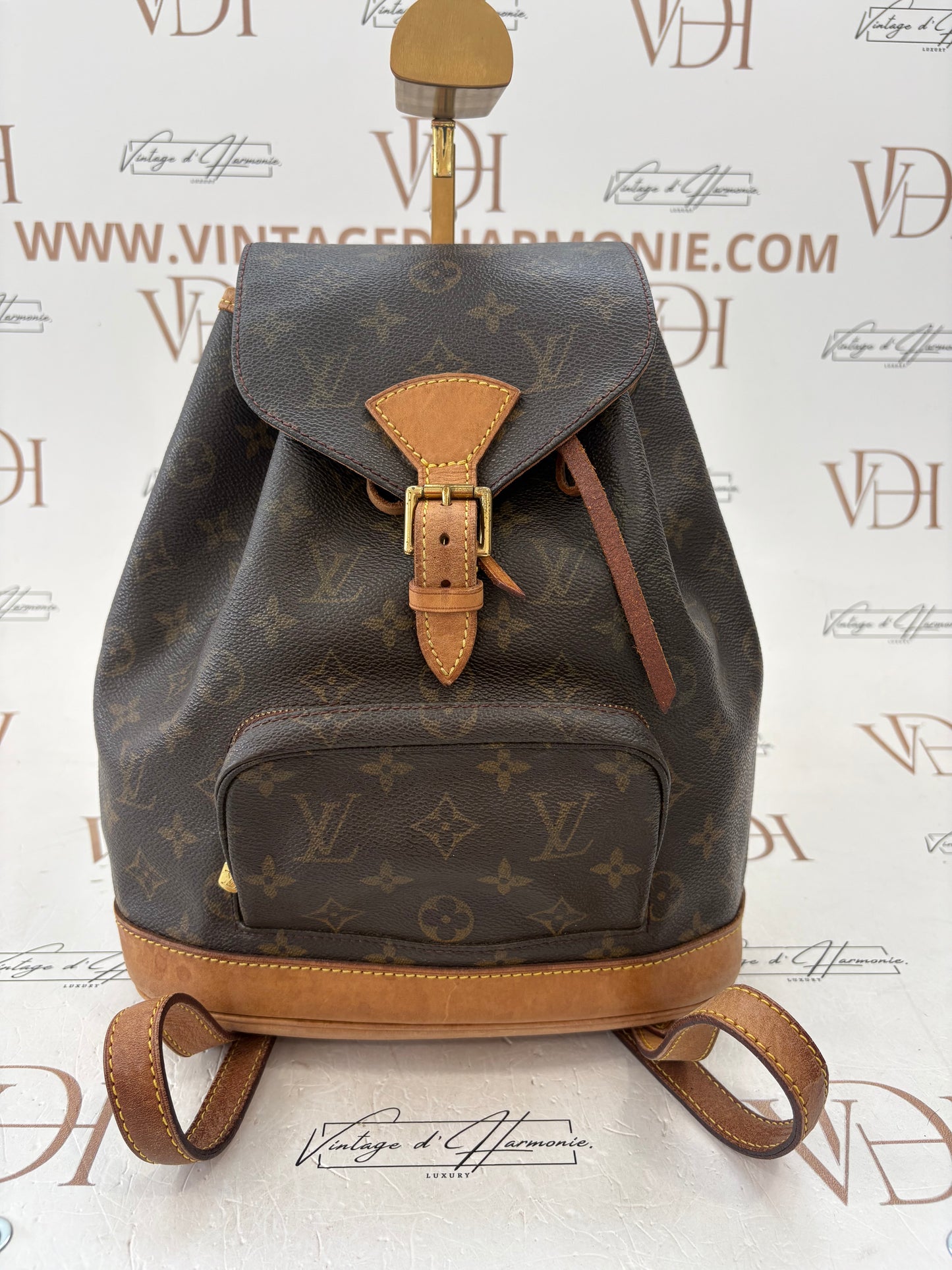 018879 - Louis Vuitton Montsouris MM