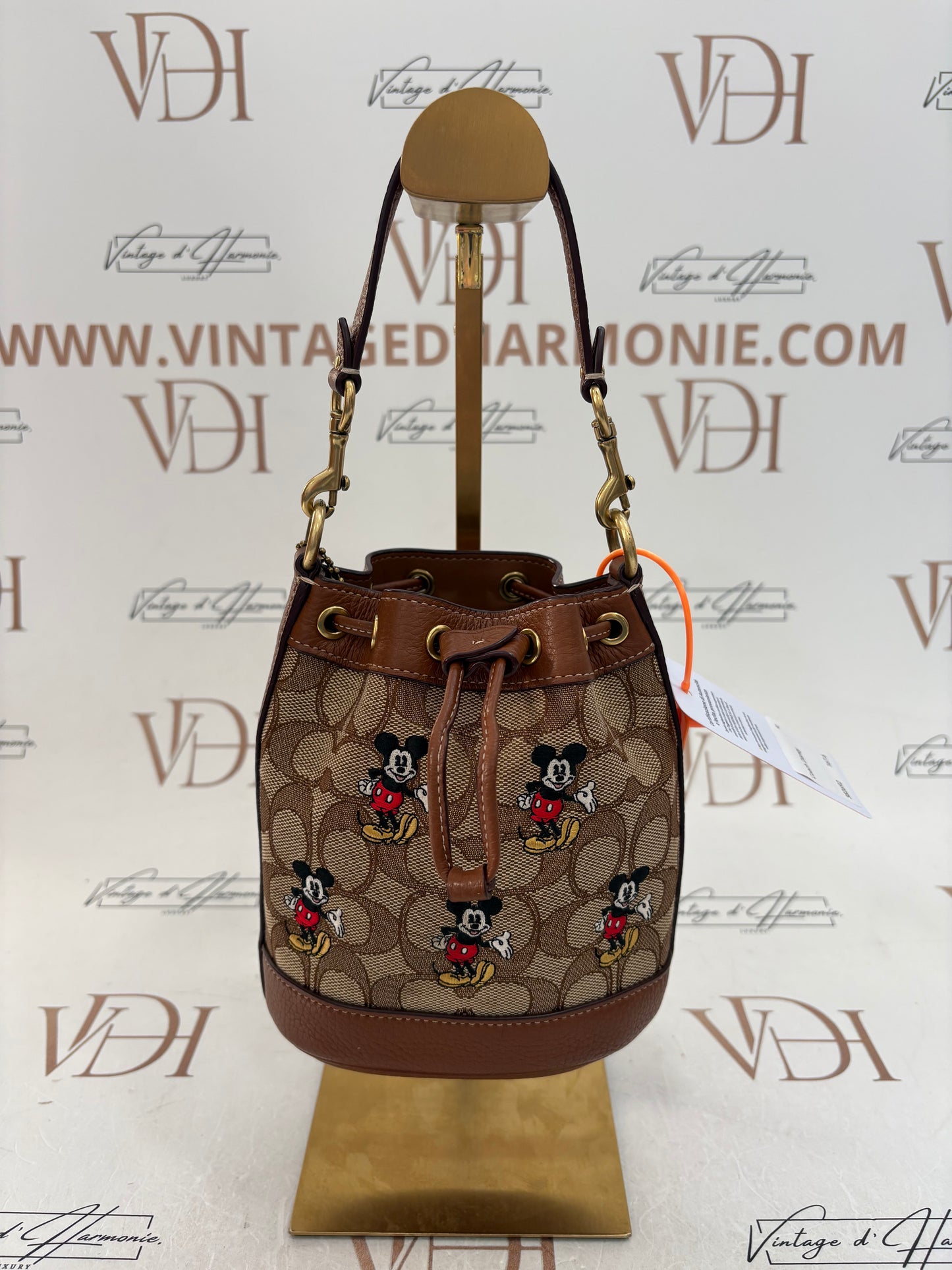 382692 - Coach Disney