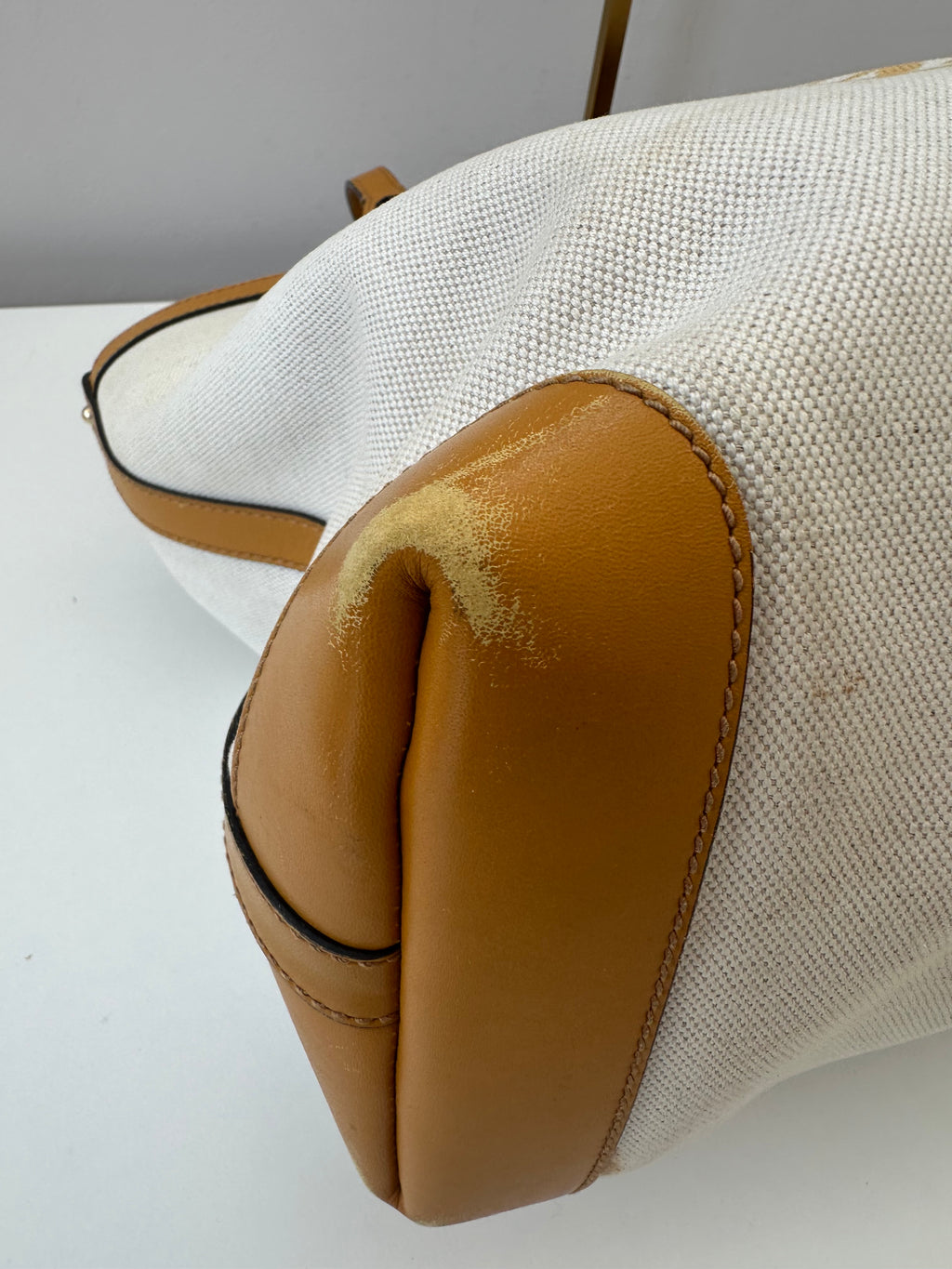 Gucci GG Canvas +pochette