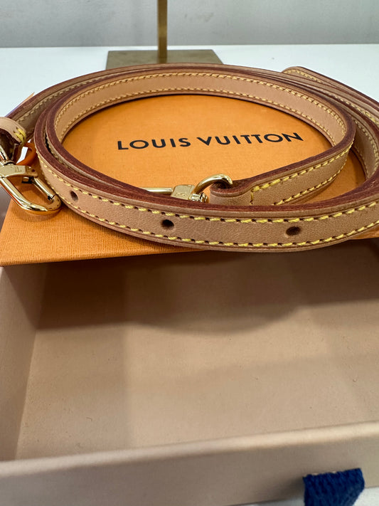 Louis Vuitton Tracolla
