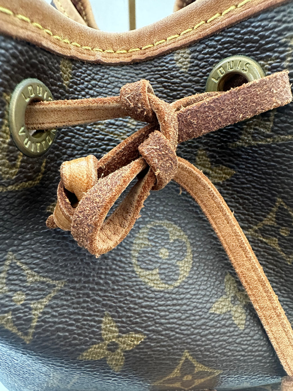 Louis Vuitton Montsouris MM