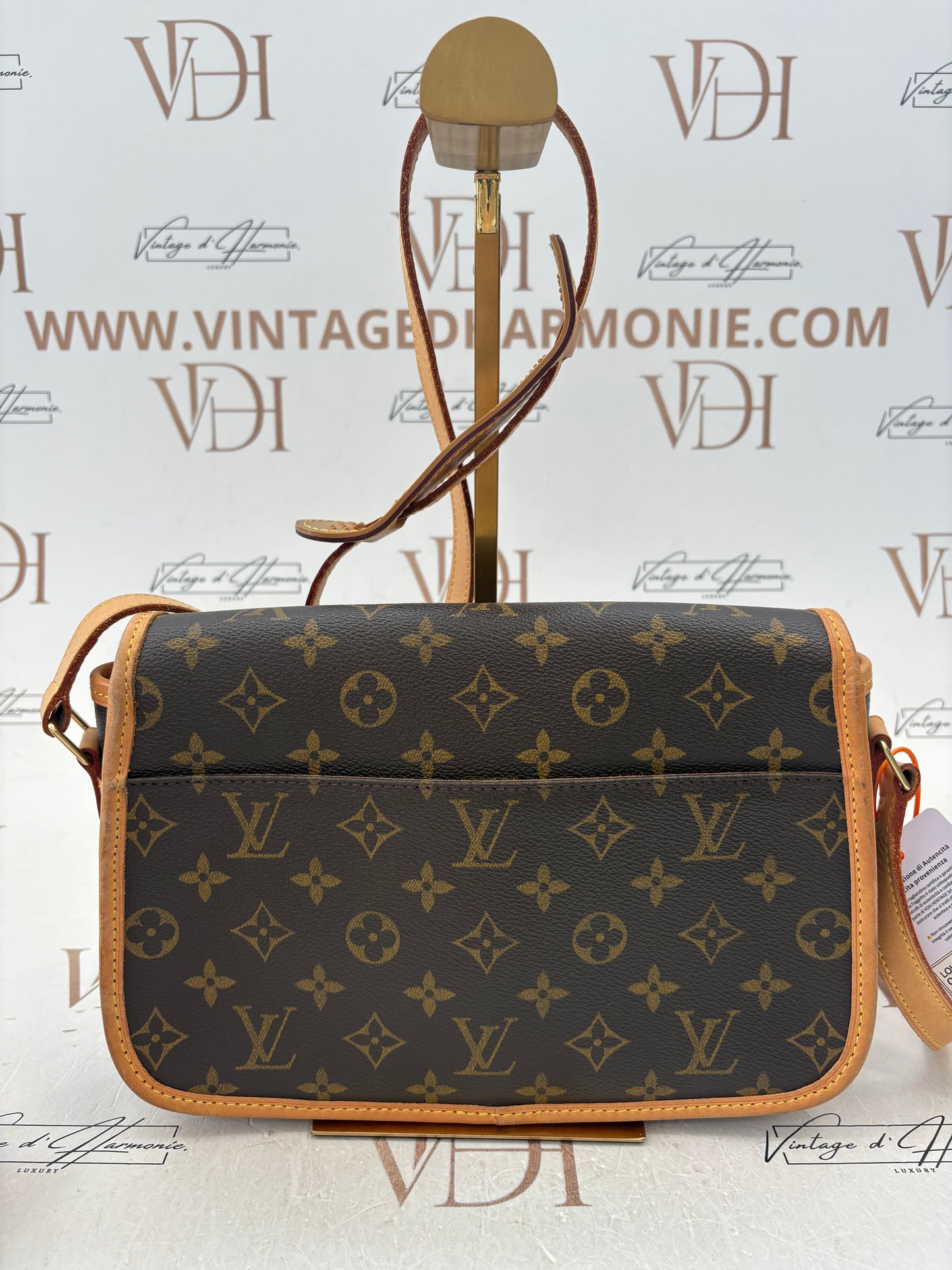 018585 - Louis Vuitton Sologne