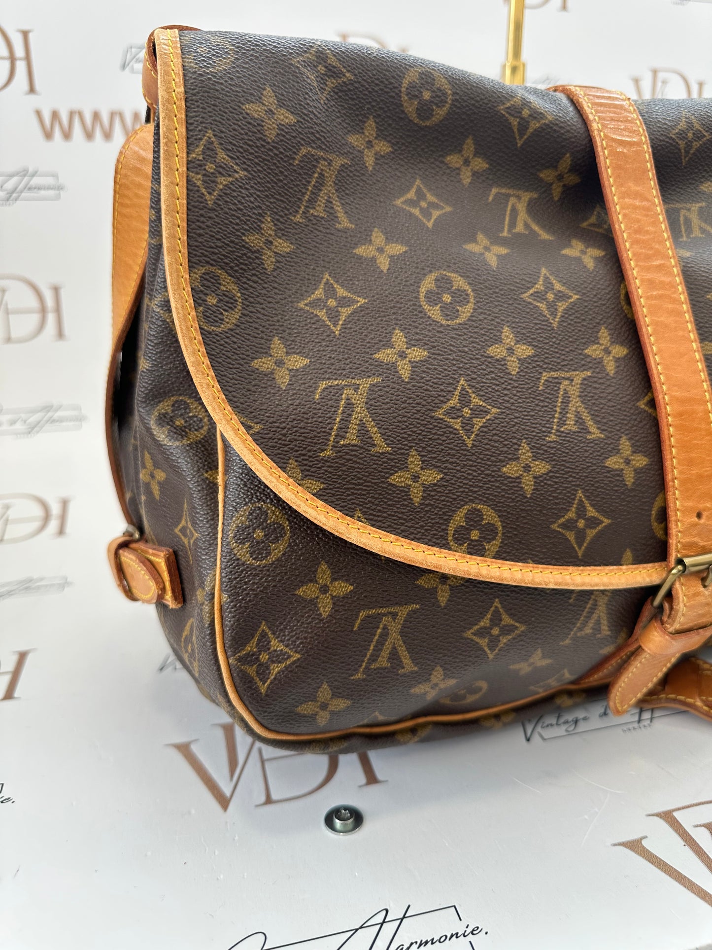 018125 - Louis Vuitton Saumur 35