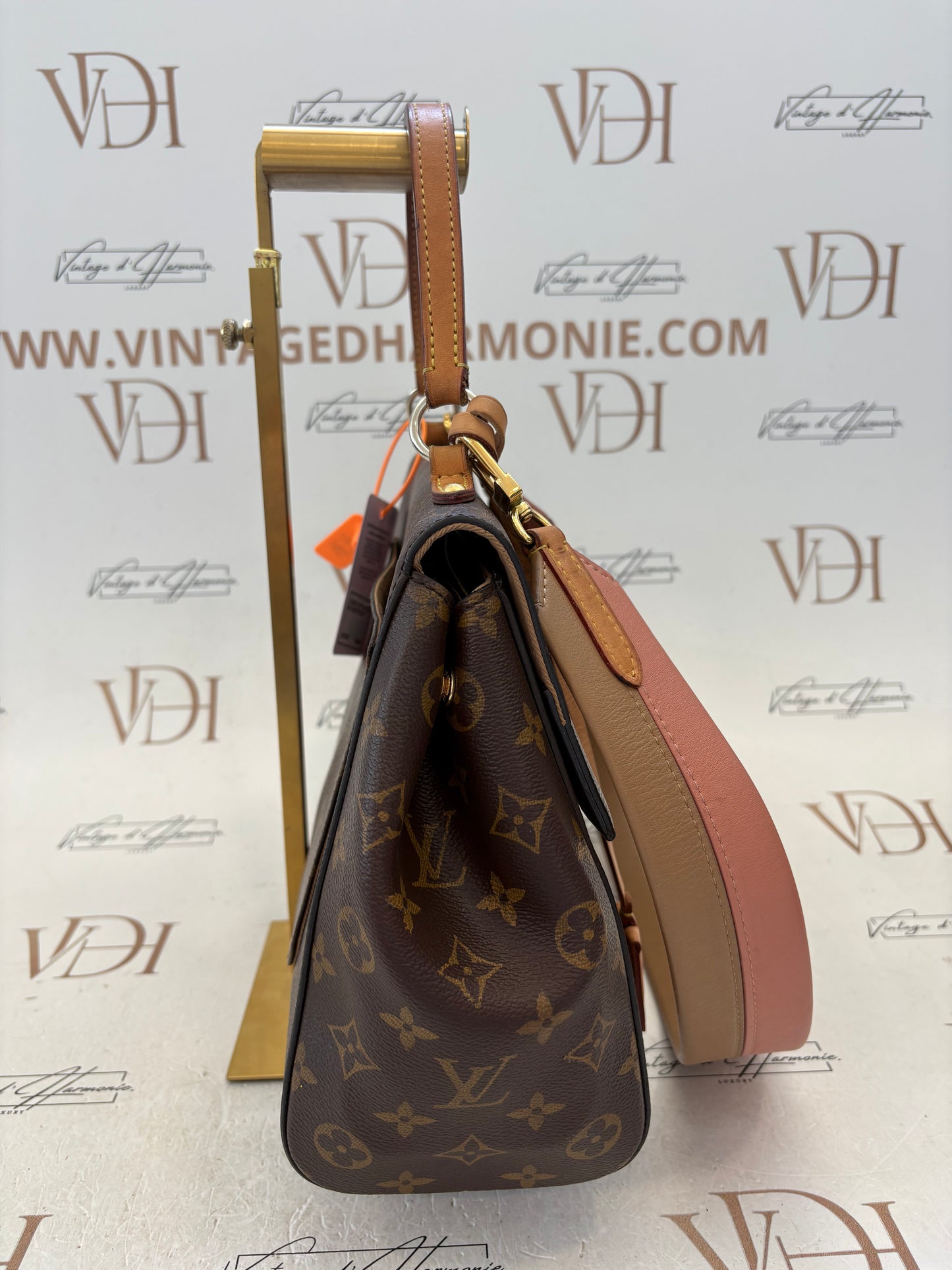 201487 - Louis Vuitton Cluny