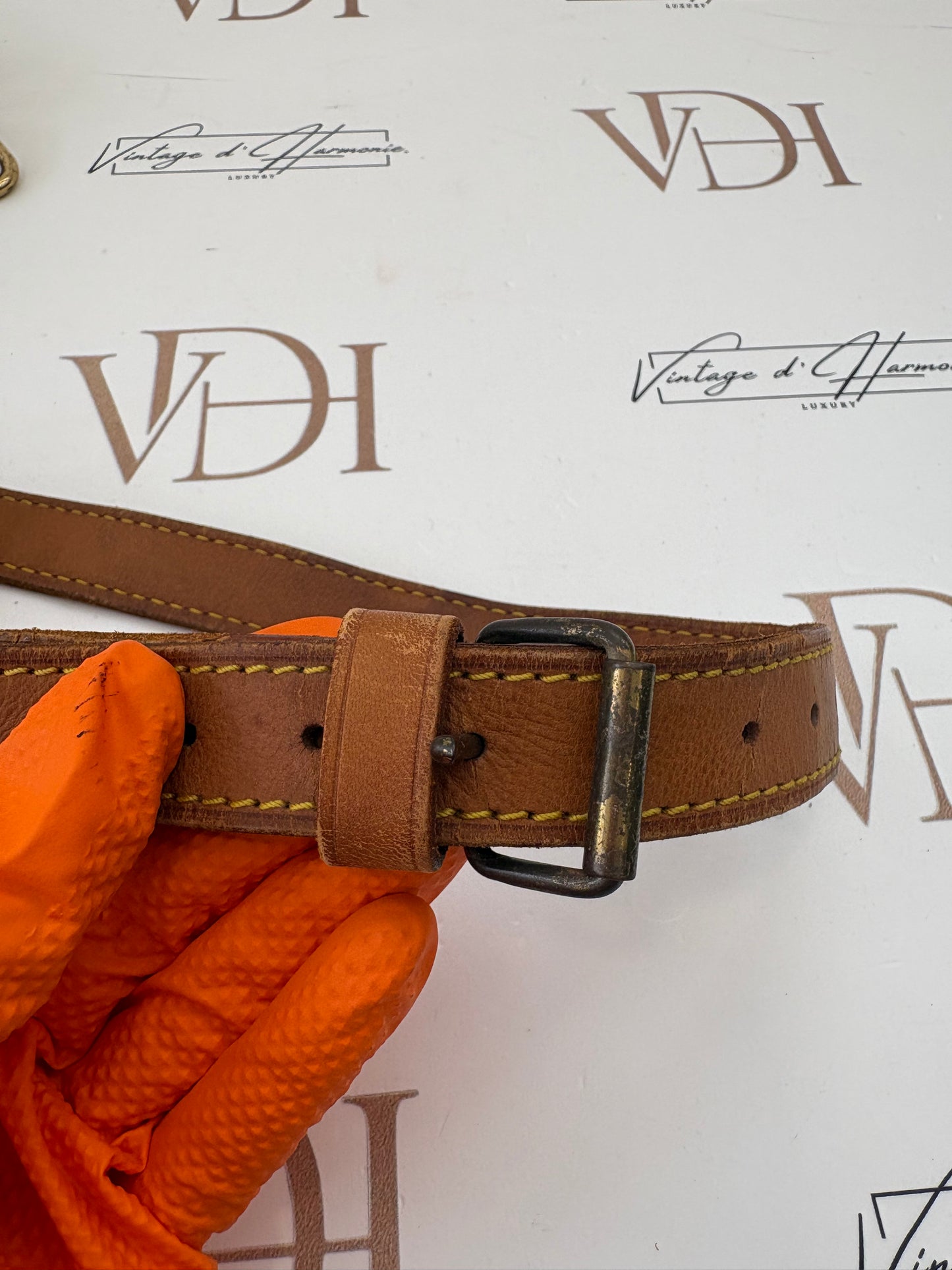 018718 - Louis Vuitton tracolla