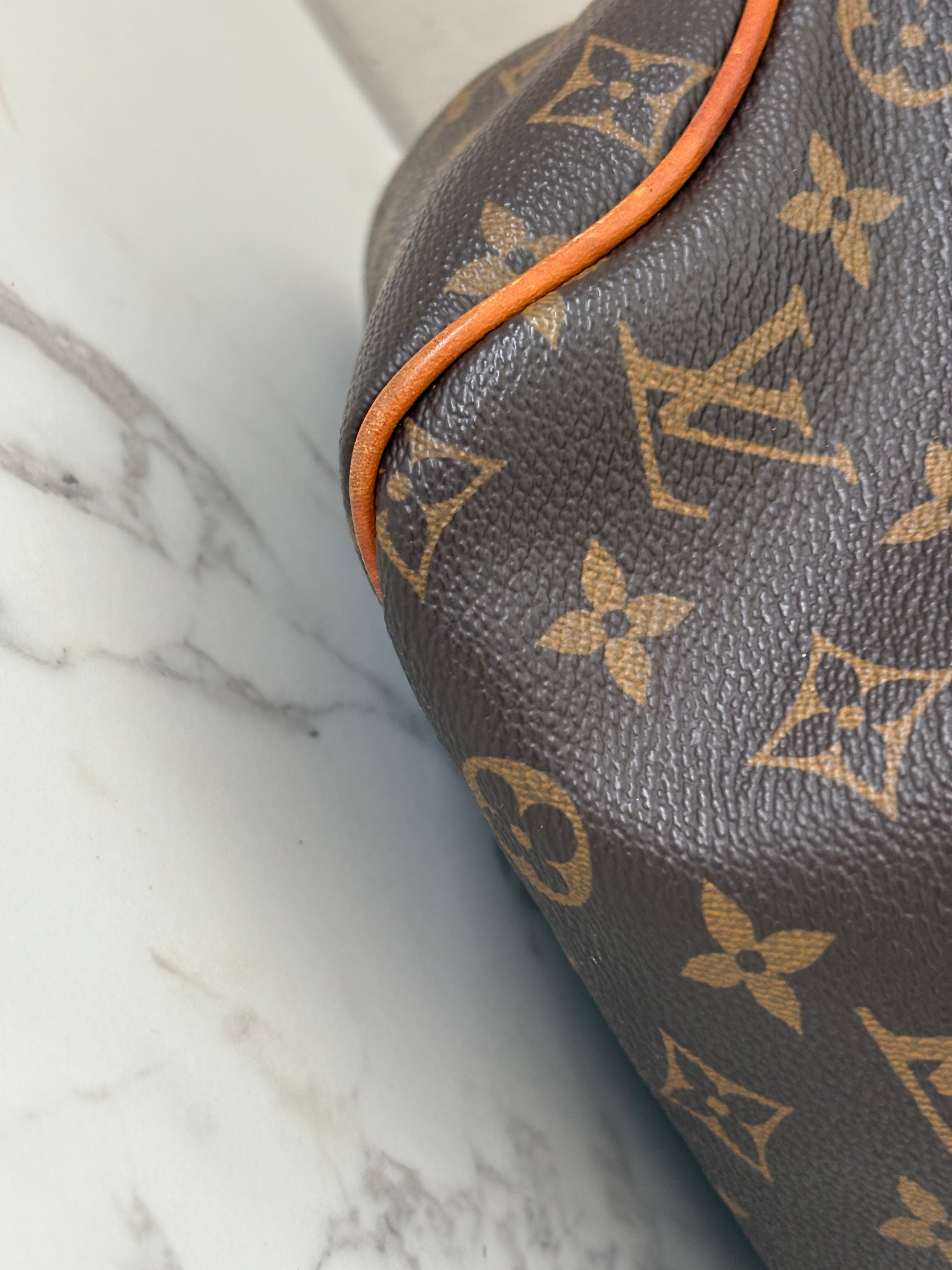 Louis Vuitton DelightFull PM