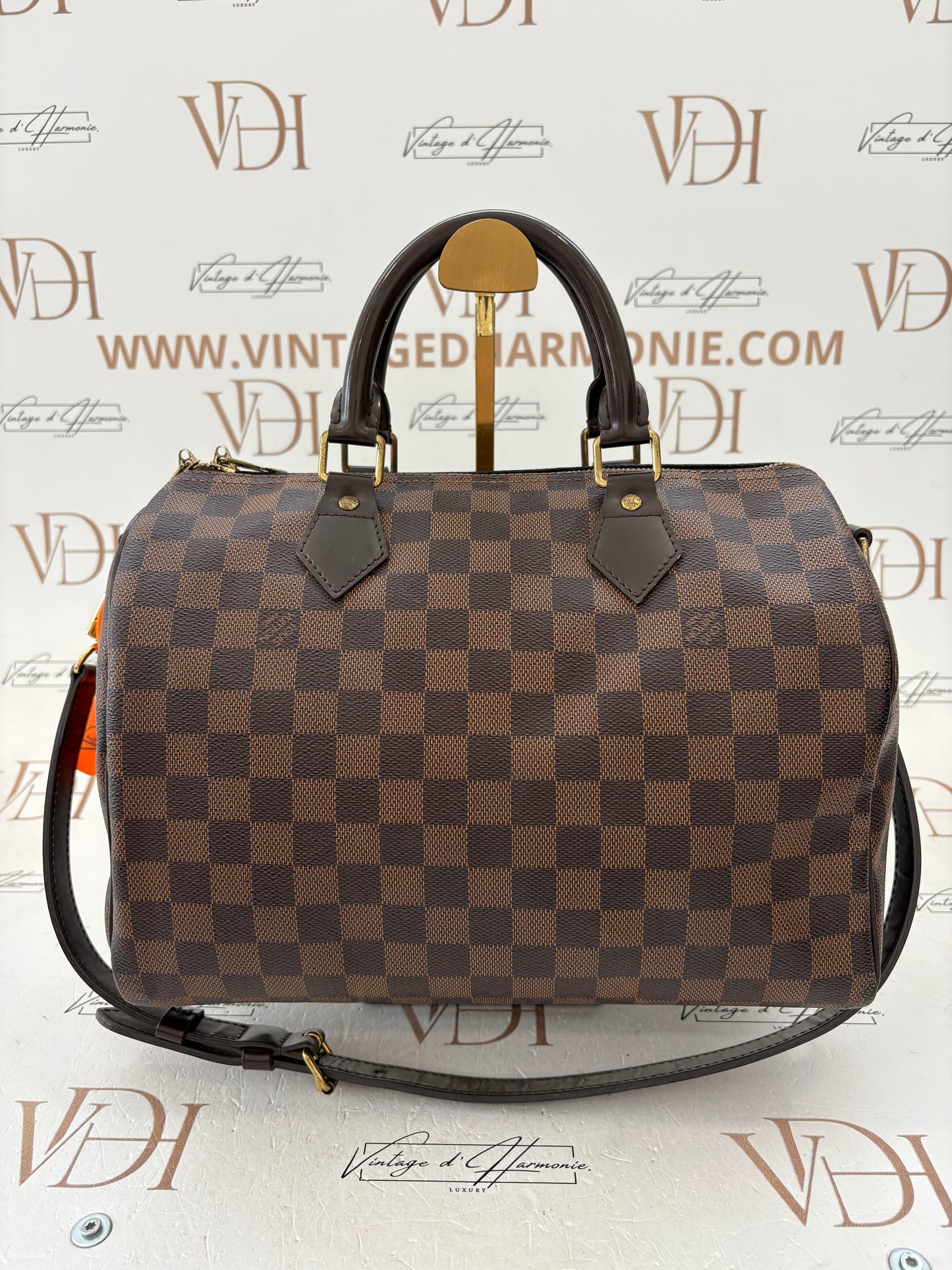 201773 - Louis Vuitton Speedy 30