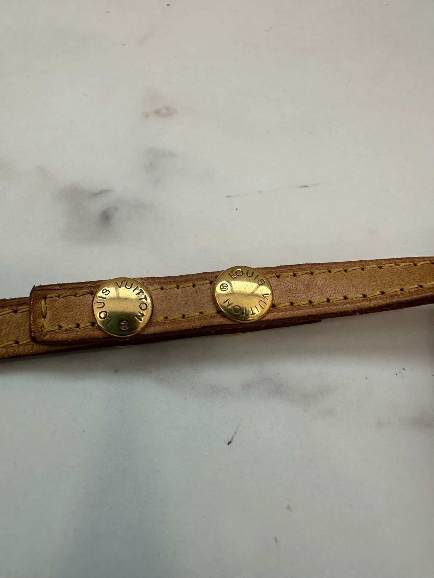 Louis Vuitton Pochette Twin GM
