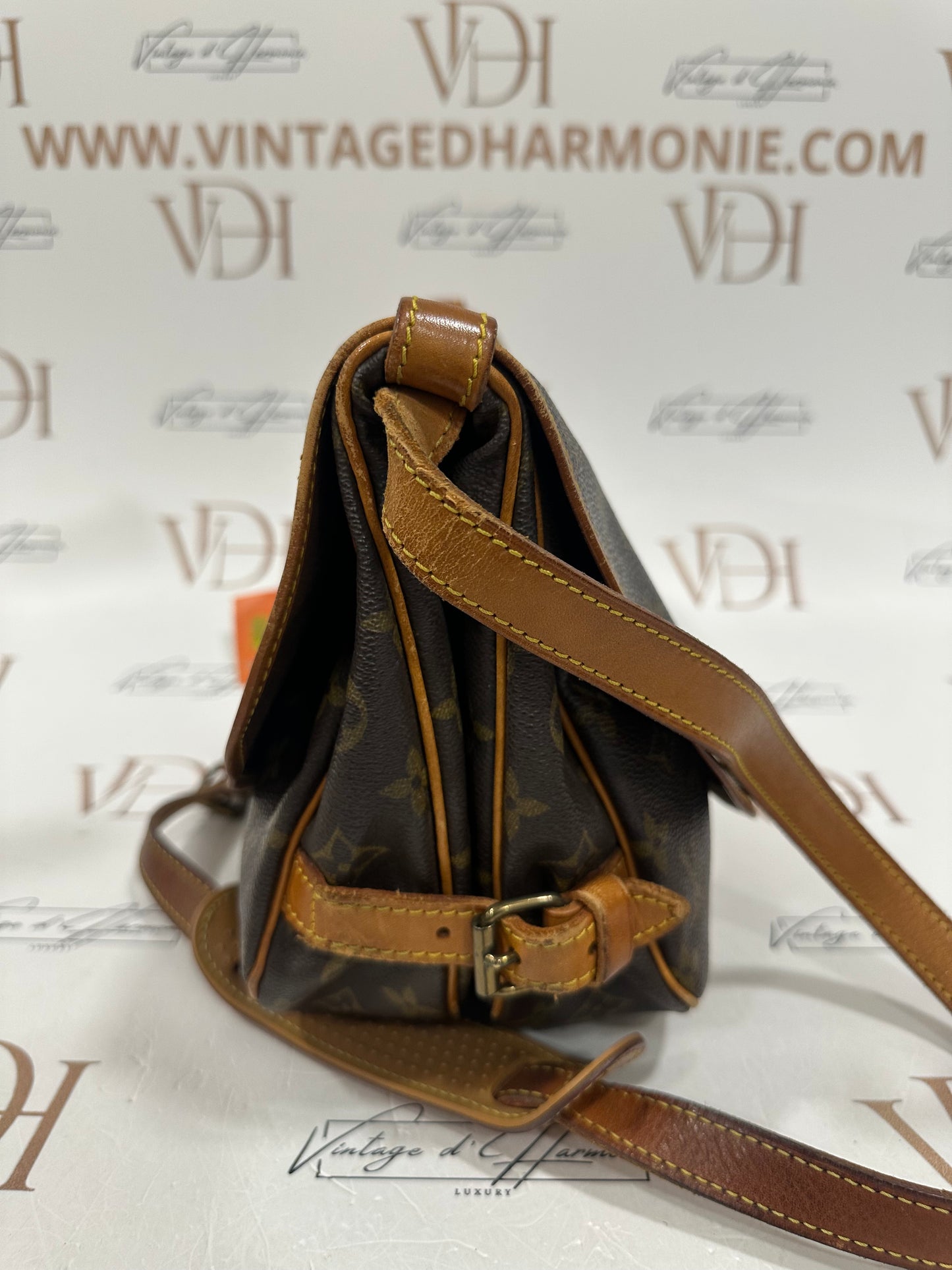 017874 - Louis Vuitton Saumur 30